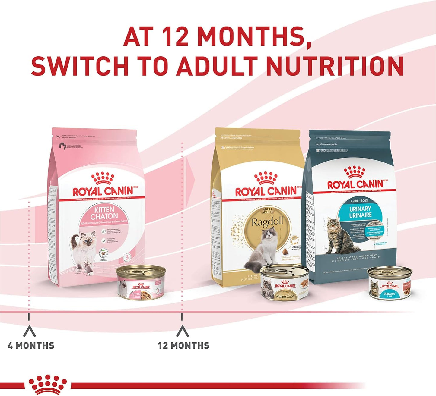 Feline Health Nutrition Kitten Thin Slices in Gravy Cat Food, 3 Oz (Pack of 24)