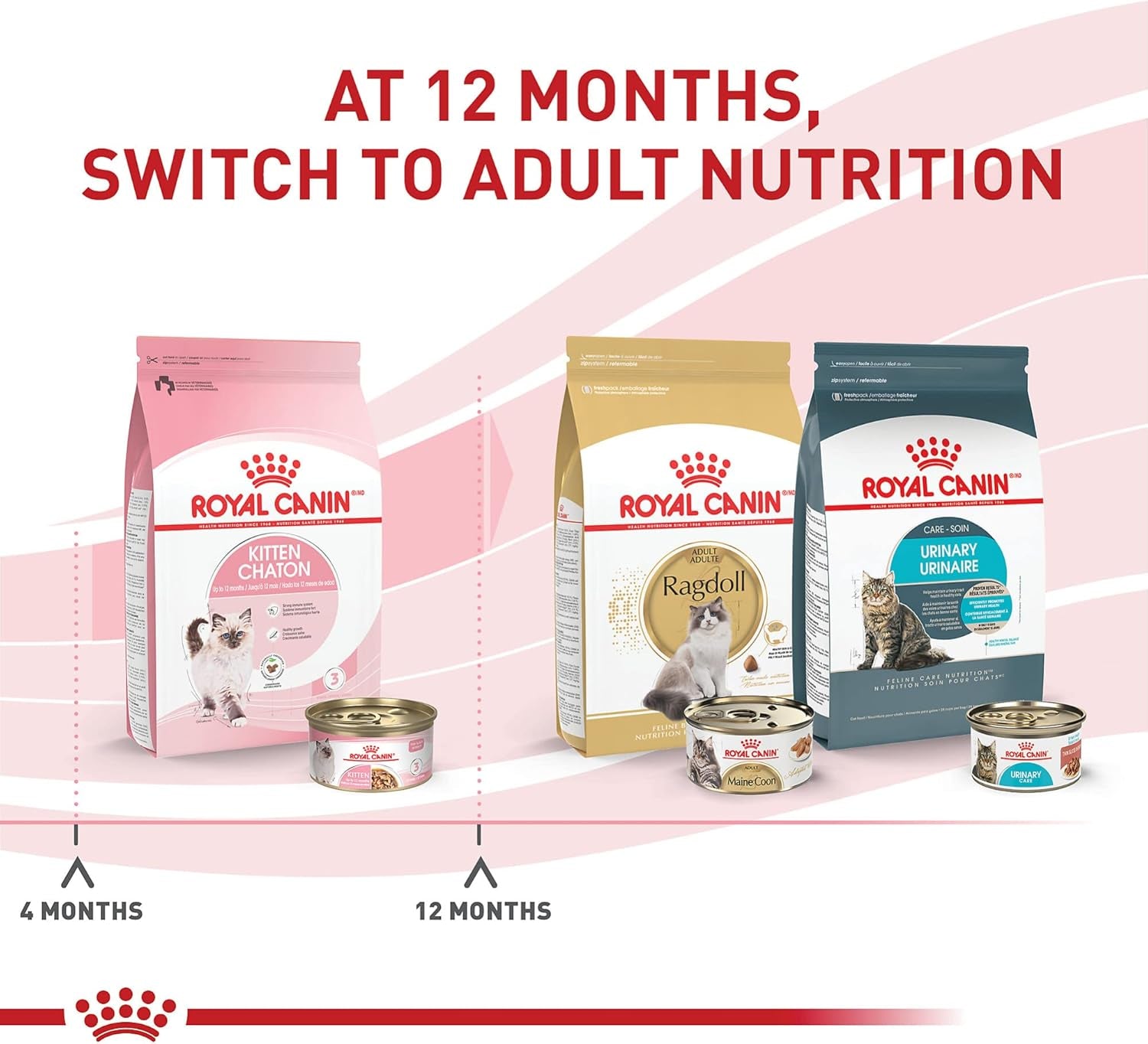 Feline Health Nutrition Kitten Thin Slices in Gravy Cat Food, 3 Oz (Pack of 24)