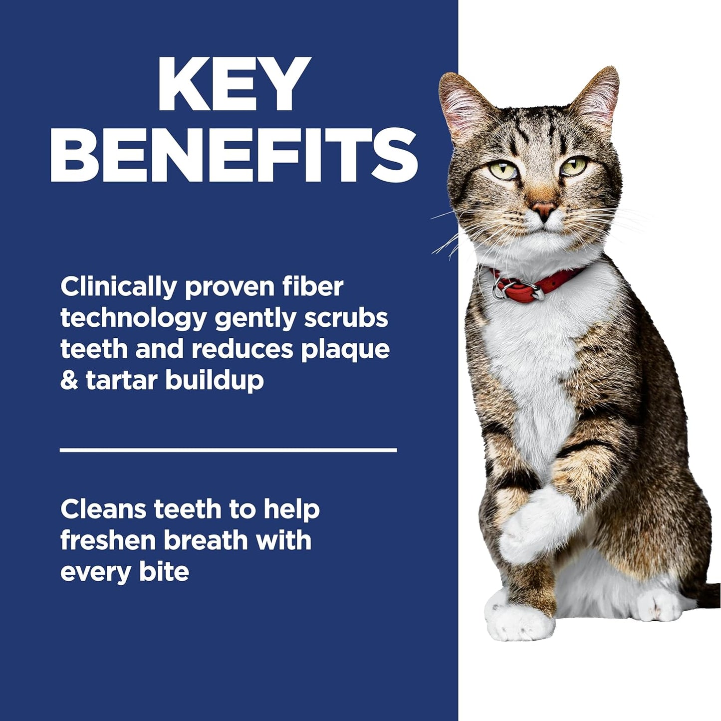 Oral Care, Adult 1-6, Plaque & Tartar Buildup Support, Dry Cat Food, Chicken Recipe, 3.5 Lb Bag