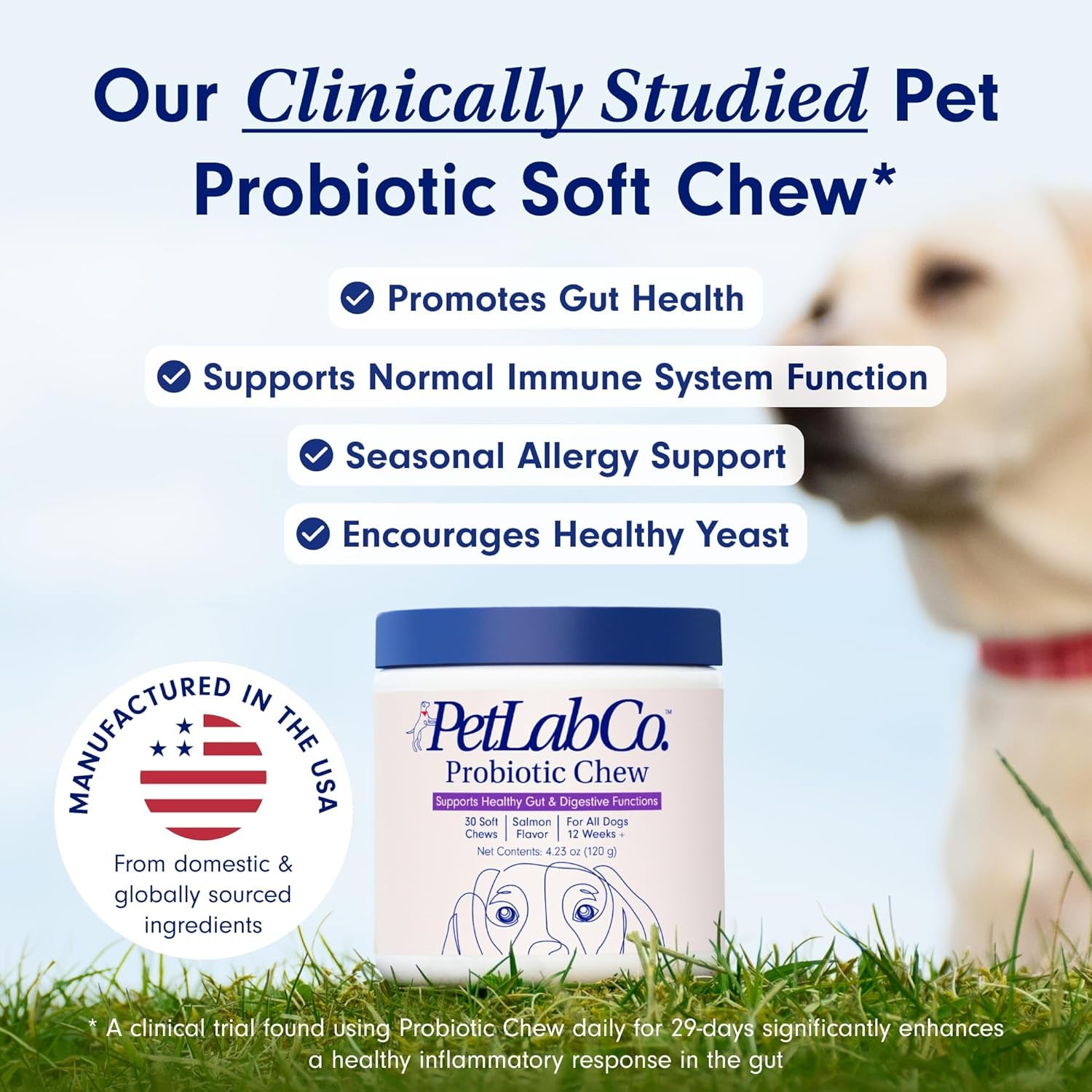 Probiotics for Dogs, Support Gut Health, Occasional Diarrhea, Digestive Health & Seasonal Allergies - Salmon Flavor - 30 Soft Chews