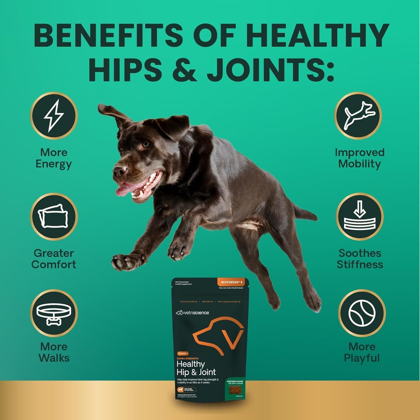 Extra Strength Healthy Hip & Joint Chews, Glycoflex Glucosamine and Green-Lipped Mussel Joint Support Supplement for Dogs, Promote Mobility and Soothe Joint Discomfort, Chicken, 120 Count