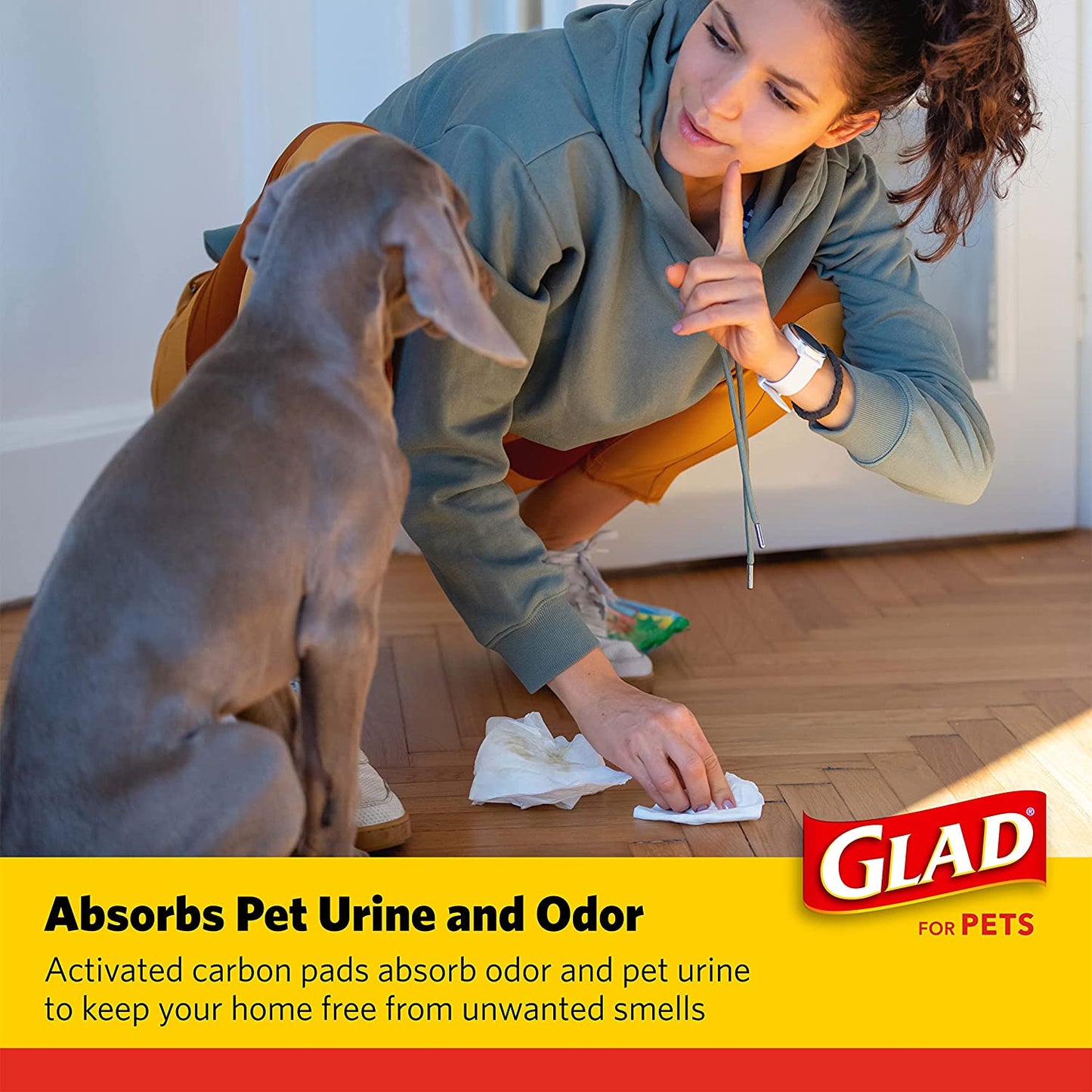 for Pets Black Charcoal Puppy Pads, 23"X23" Disposable Pee Pad That Absorbs & Neutralizes Urine Instantly, Activated Carbon Training Pads for Dogs - 100 Count