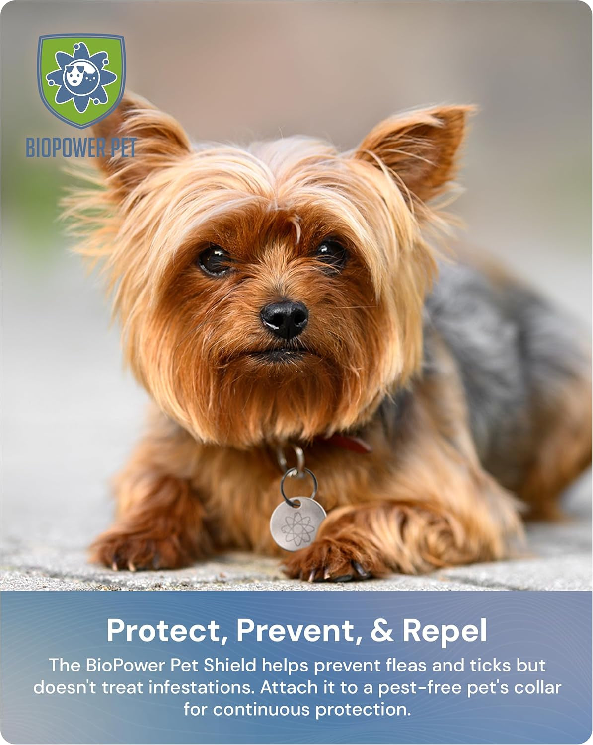 Natural Flea & Tick Repellent Collar Tag for Dogs & Cats –  Shield – Safe for Pets When Used as Directed – Lasts 1 Full Year (1Pack)