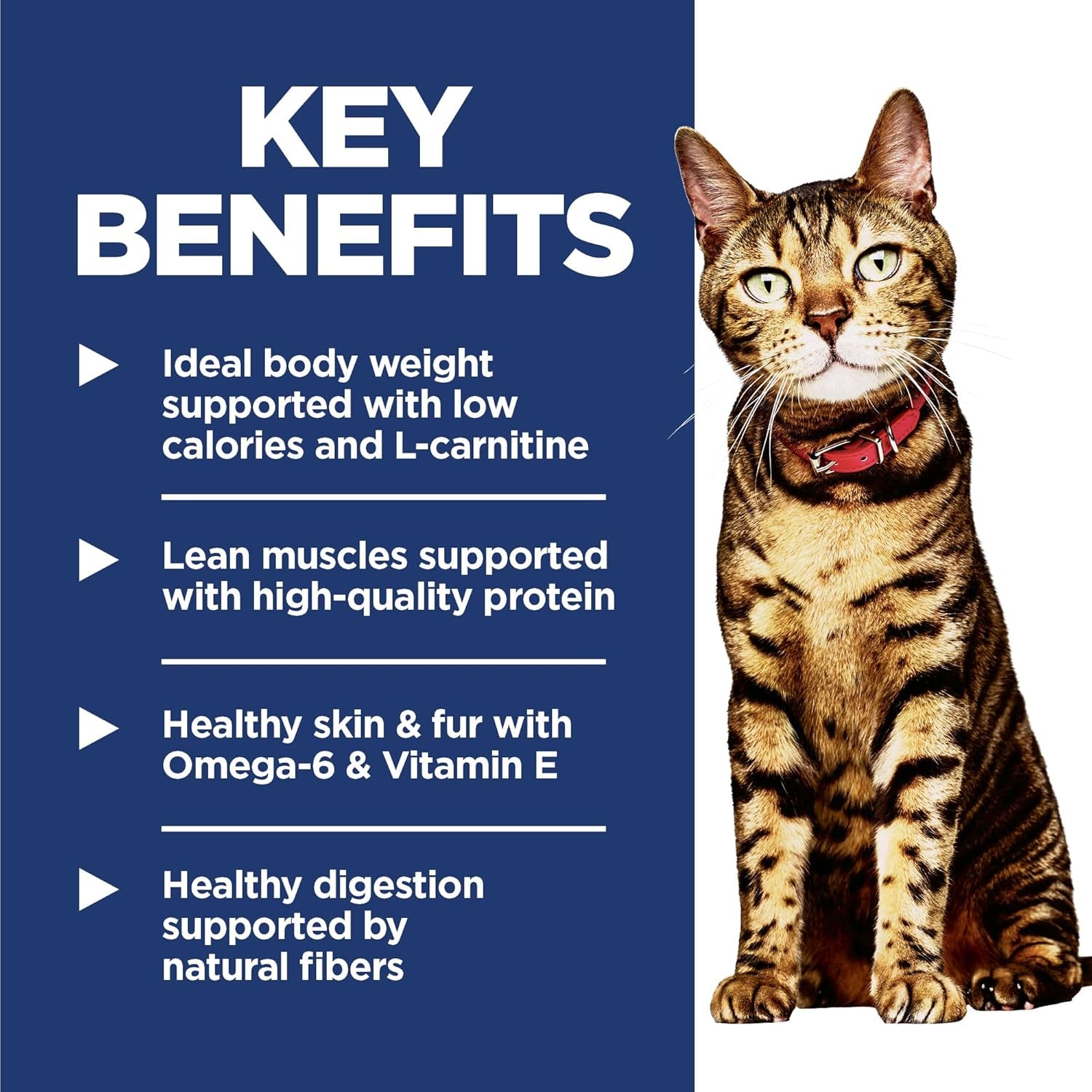 Light, Adult 1-6, Weight Management Support, Dry Cat Food, Chicken Recipe, 16 Lb Bag