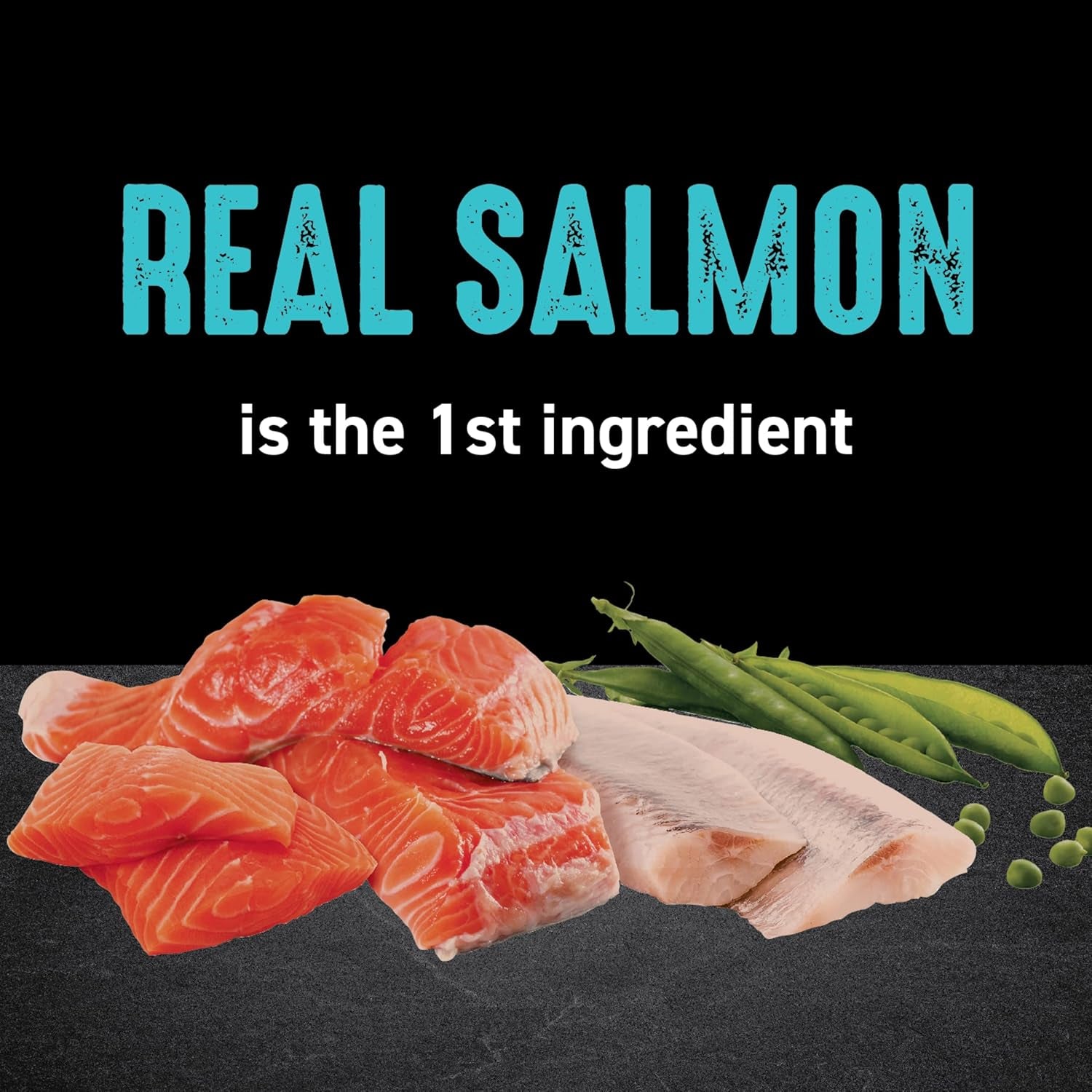 Grain Free Adult High Protein Natural Dry Cat Food with Protein from Salmon & Ocean Fish, 10 Lb. Bag