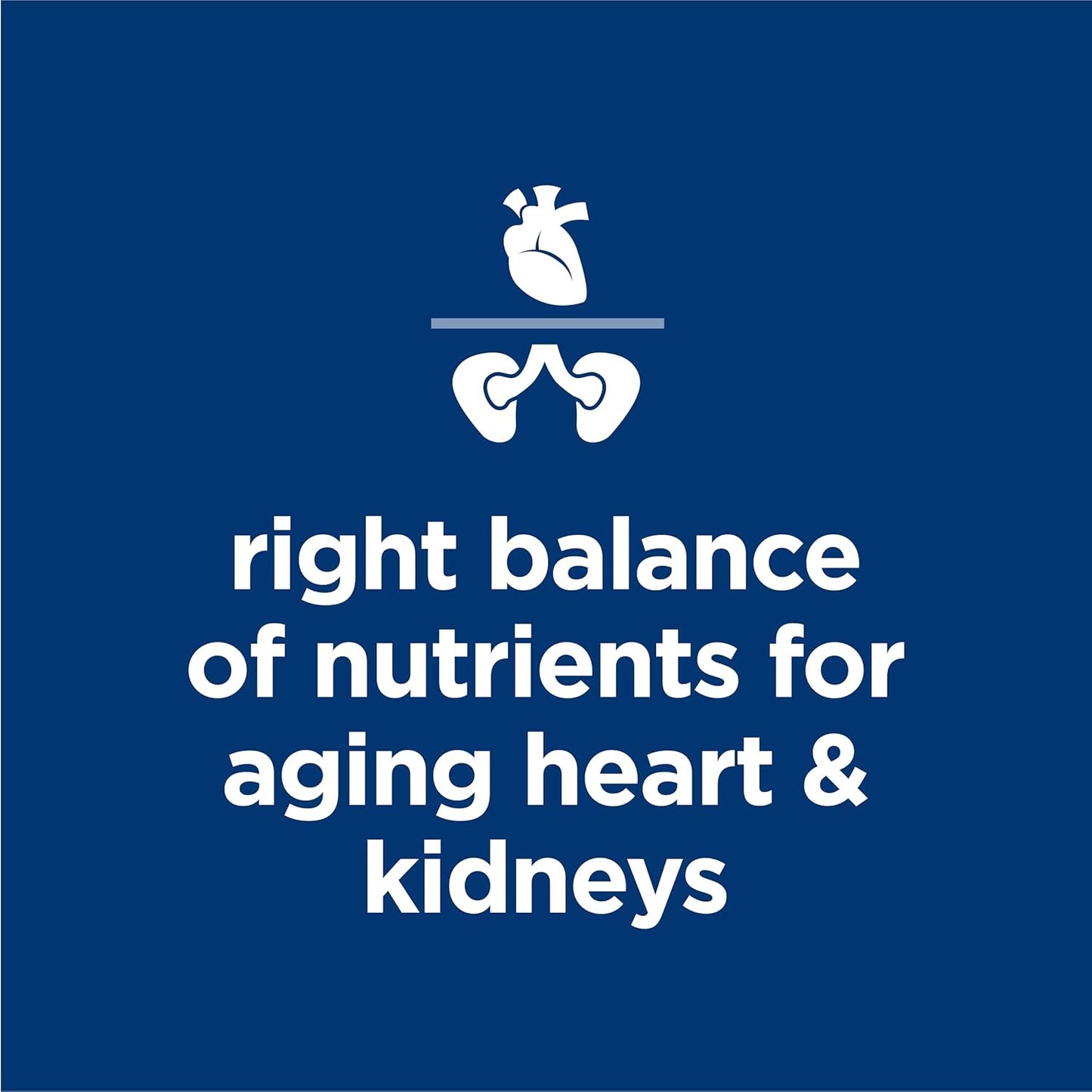 Adult 7+, Senior Adult 7+ Premium Nutrition, Wet Dog Food, Beef & Barley Loaf, 13 Oz Can, Case of 12