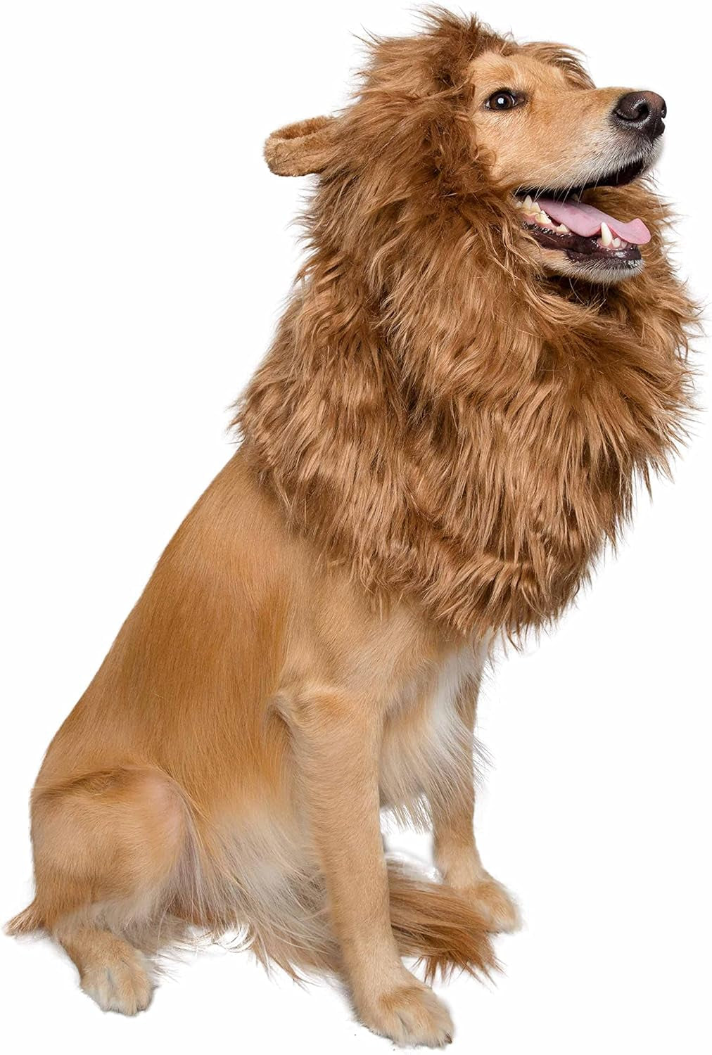 Lion Mane for Dog -Lion Mane Dog Costume by