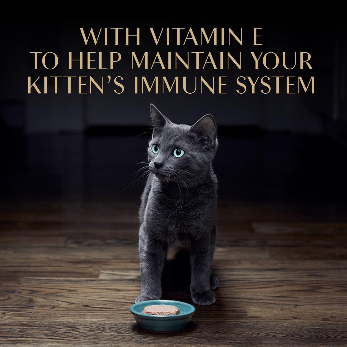 Perfect Portions Kitten Wet Cat Food Pate Chicken Entree and Salmon Entree, 2.6 Oz. Twin-Pack Trays (12 Count, 24 Servings) (Pack of 2)