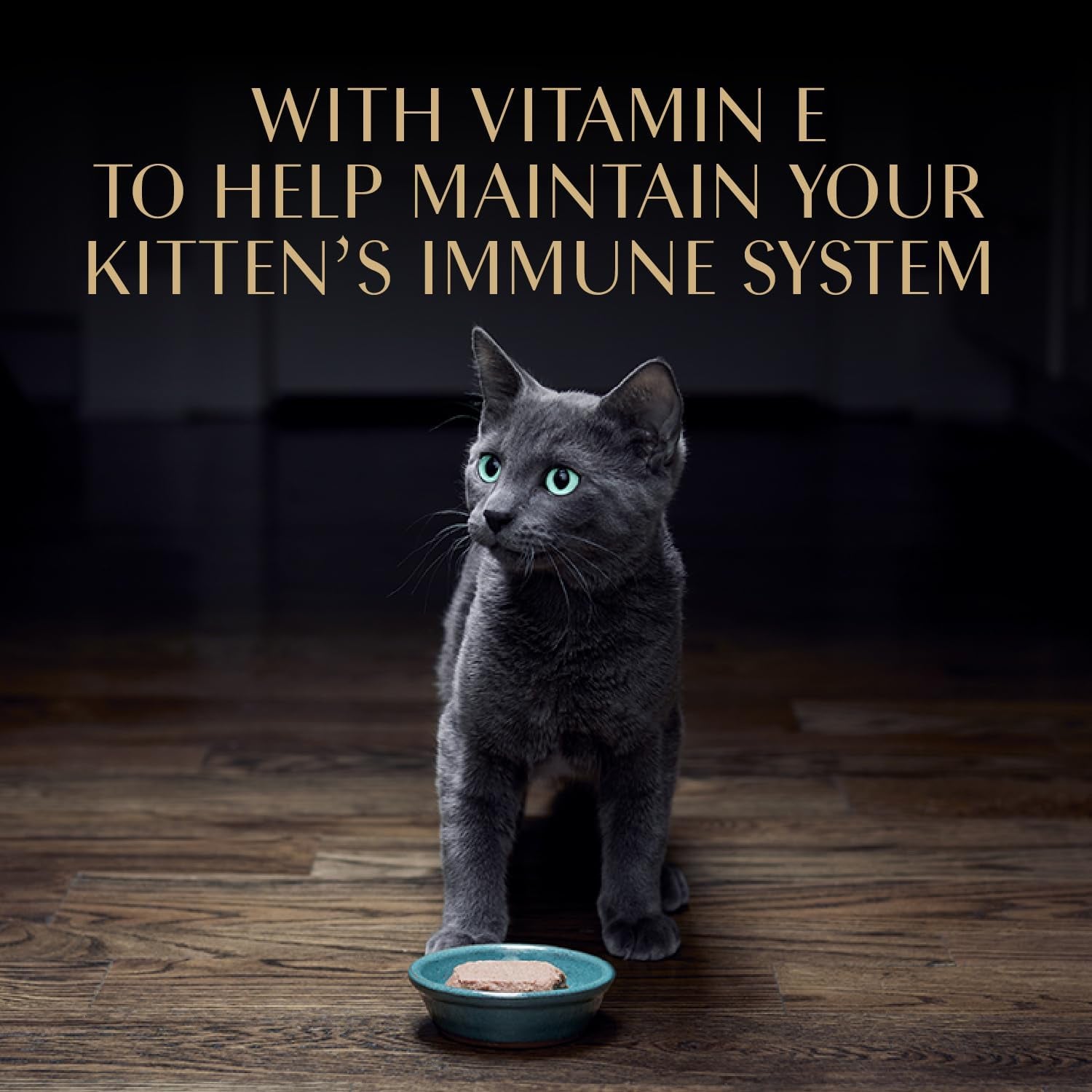 Perfect Portions Kitten Wet Cat Food Pate Chicken Entree and Salmon Entree, 2.6 Oz. Twin-Pack Trays (12 Count, 24 Servings) (Pack of 2)