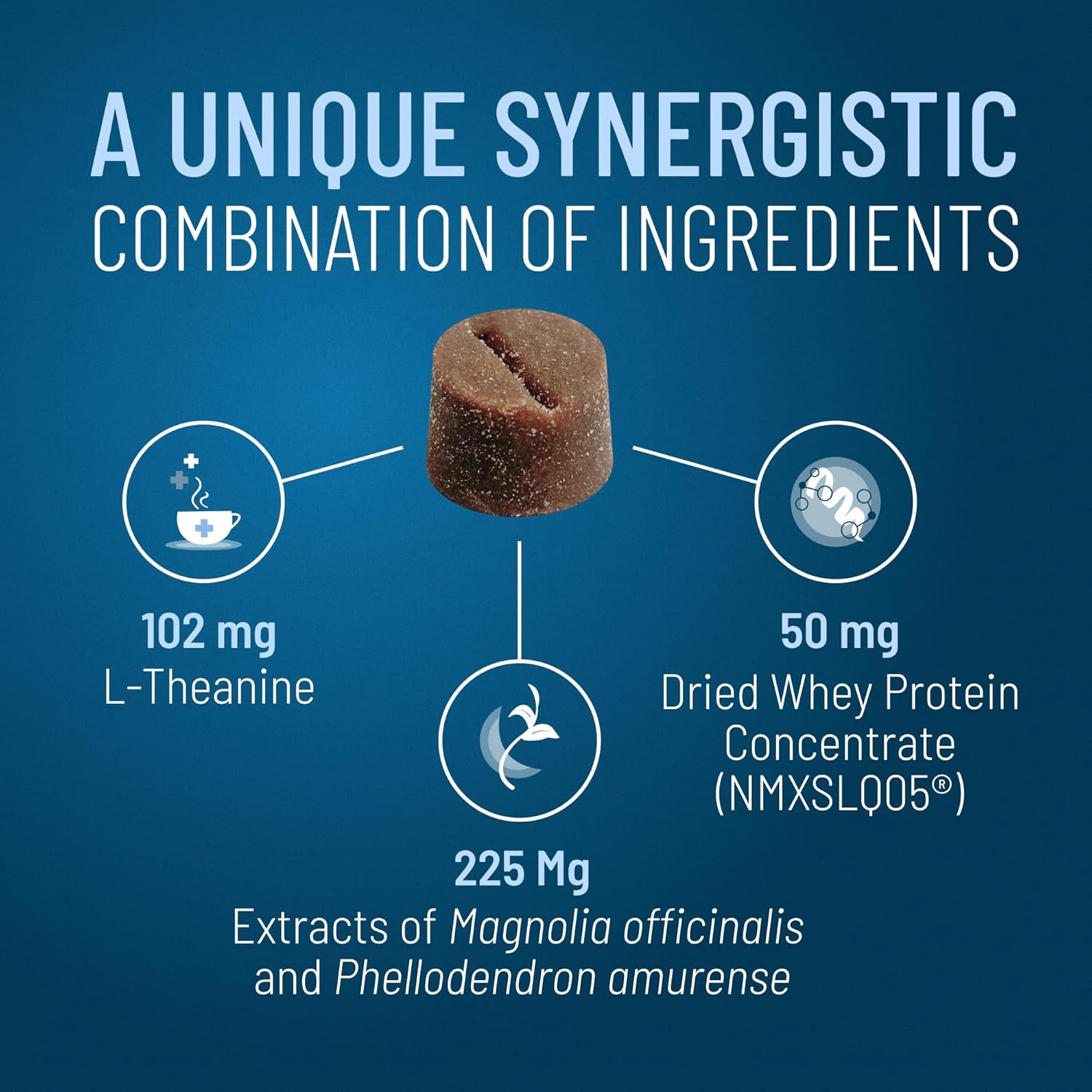 Nutramax Solliquin Calming Behavioral Health Supplement for Large Dogs - with L-Theanine, Magnolia/Phellodendron, and Whey Protein Concentrate, 75 Soft Chews