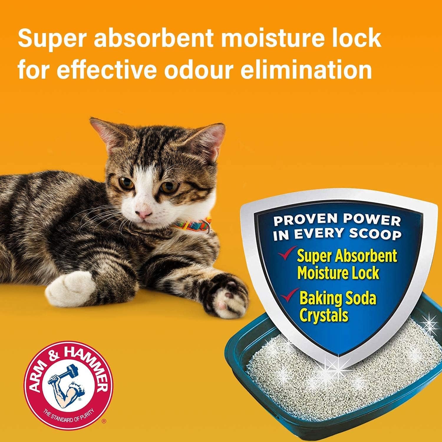 Cat Litter Deodorizer 20 Oz (Pack of 4)