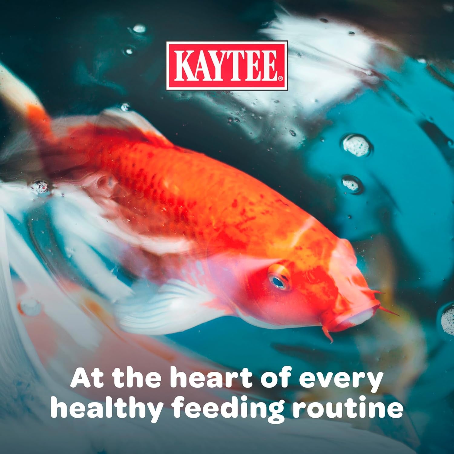 Koi'S Choice Koi Floating Fish Food, 10 Pound