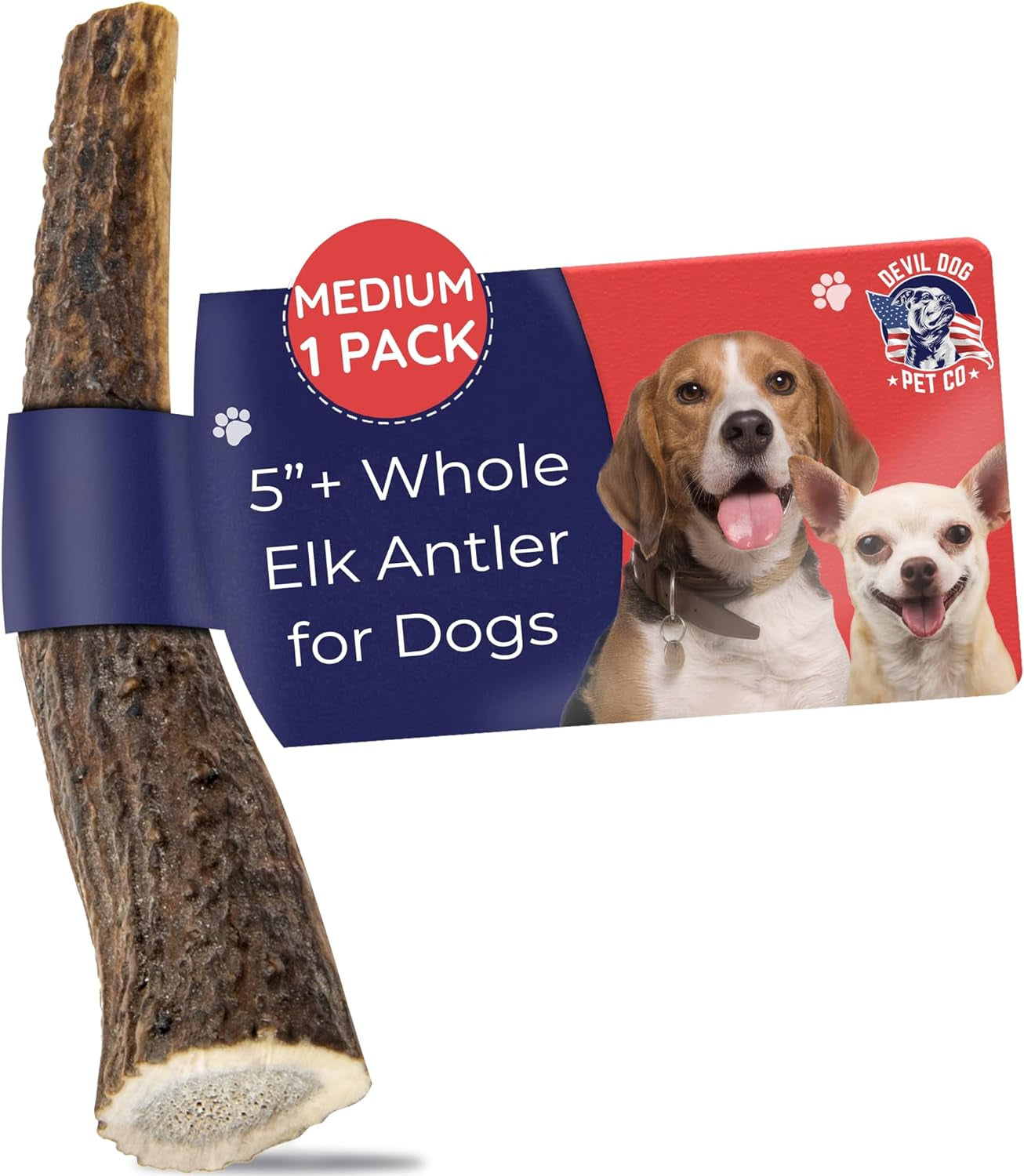 . Elk Antlers for Dogs, Medium 5"+, 1 Pack, Grade a Long Lasting Chew for Aggressive Chewers, Premium USA Naturally Shed Antler – Healthy, No Odor, Durable Dog Chew