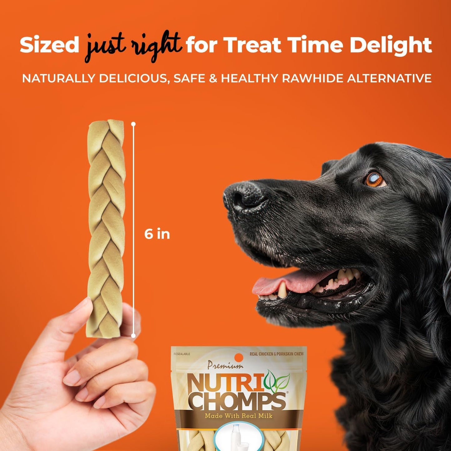 Nutrichomps Dog Chews, 6-Inch Braids, Easy to Digest, Rawhide-Free Dog Treats, Healthy, Real Chicken, Peanut Butter and Milk Flavors, Pack of 4