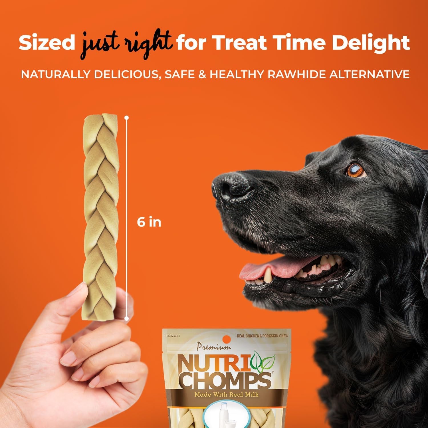 Nutrichomps Dog Chews, 6-Inch Braids, Easy to Digest, Rawhide-Free Dog Treats, Healthy, Real Chicken, Peanut Butter and Milk Flavors, Pack of 4