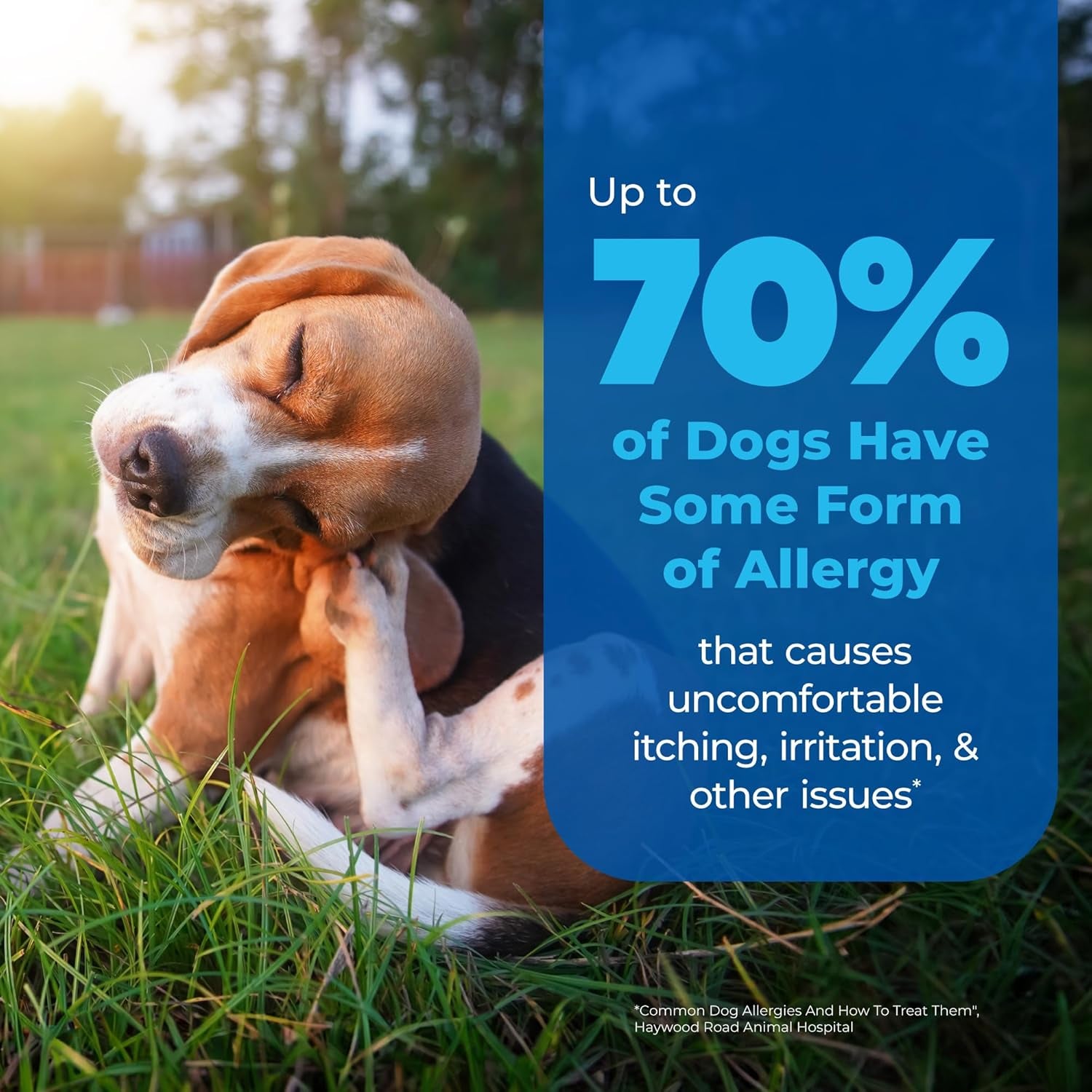 Oticbliss Medicated Cat & Dog Ear Cleaner Drops - Dog Ear Infection Treatment with 1% Hydrocortisone to Soothe Itching, Redness, & Swelling - Vet Recommended