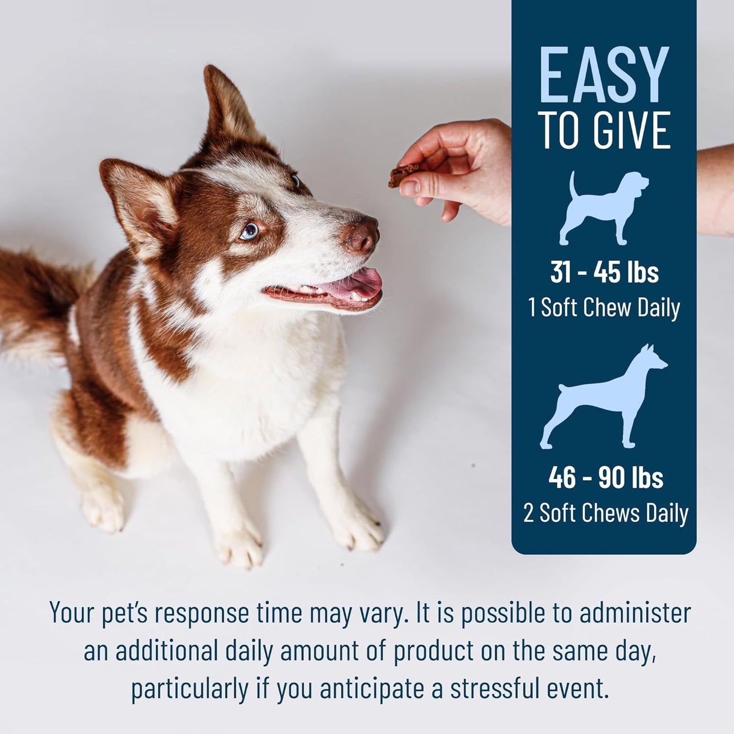 Nutramax Solliquin Calming Behavioral Health Supplement for Large Dogs - with L-Theanine, Magnolia/Phellodendron, and Whey Protein Concentrate, 75 Soft Chews