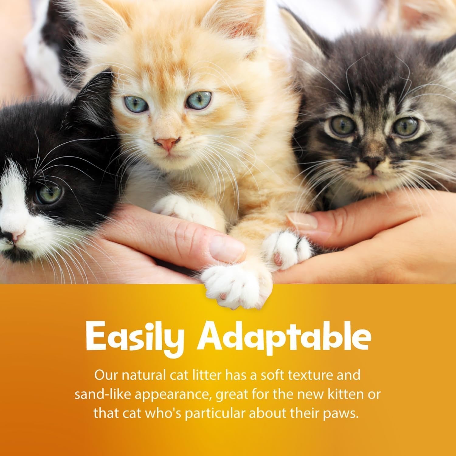 All Natural Clumping Cat Litter, 10 Pound (160Oz 1 Pack) - Alternative to Clay and Pellet Litter - Chemical and 99% Dust Free - Unscented and Lightweight