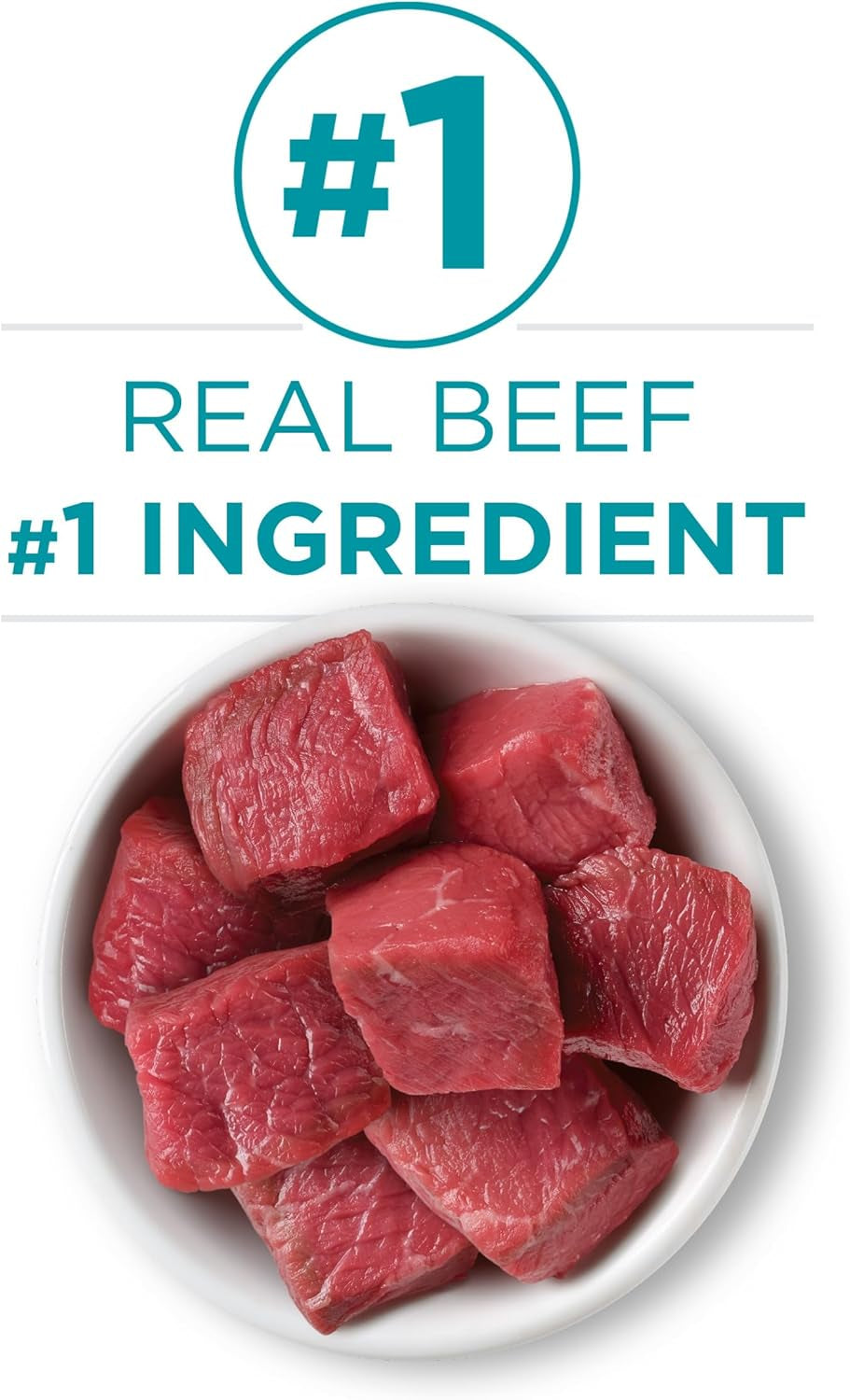 Natural, High Protein, Grain Free Wet Cat Food Pate, Beef Recipe - (Pack of 24) 3 Oz. Pull-Top Cans