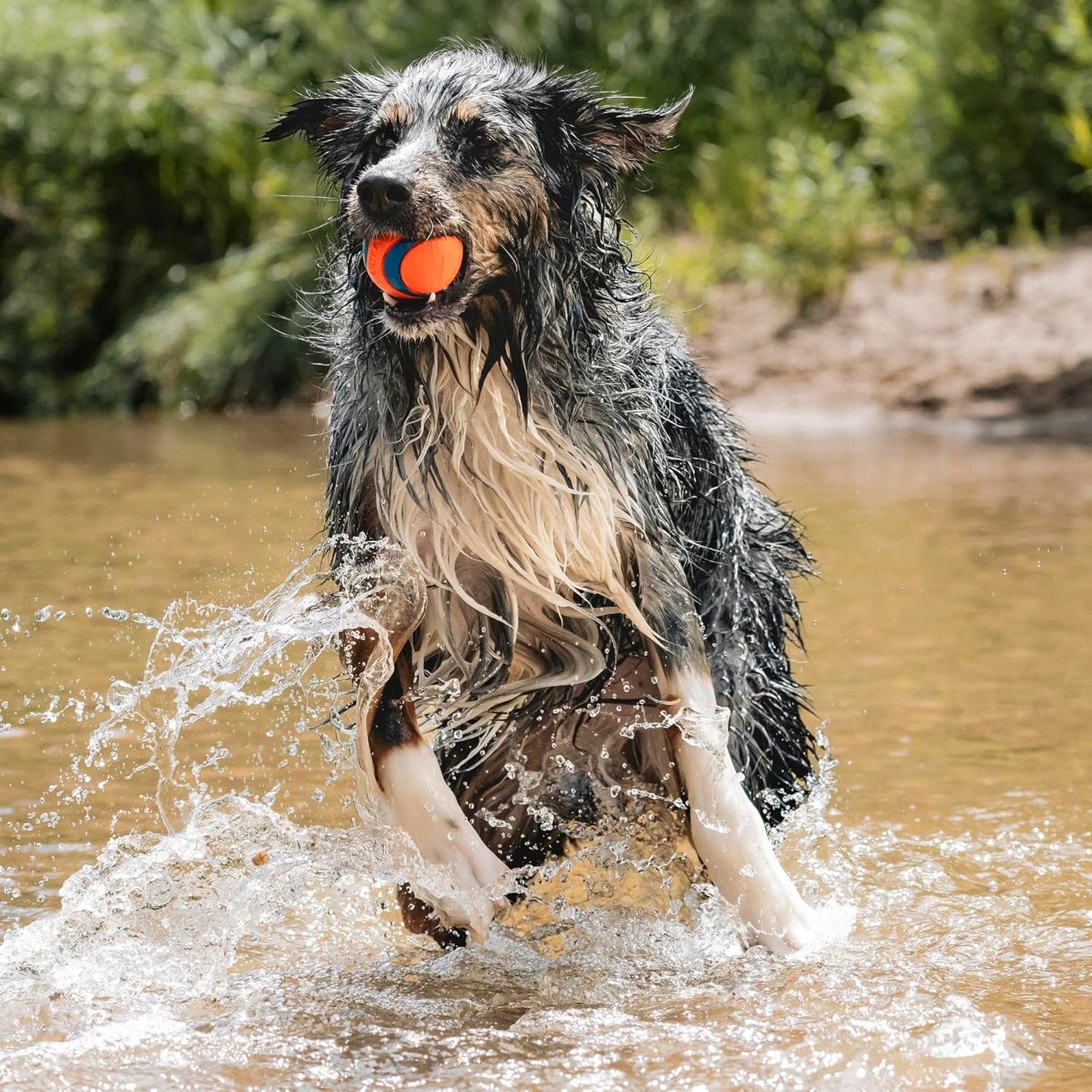 Ultra Ball Dog Toy - Size Large - for Dogs 60-100 Lbs - Made from Durable Rubber - Super Bouncy - Floats in Water - 3-Inch Diameter - Pack of 1
