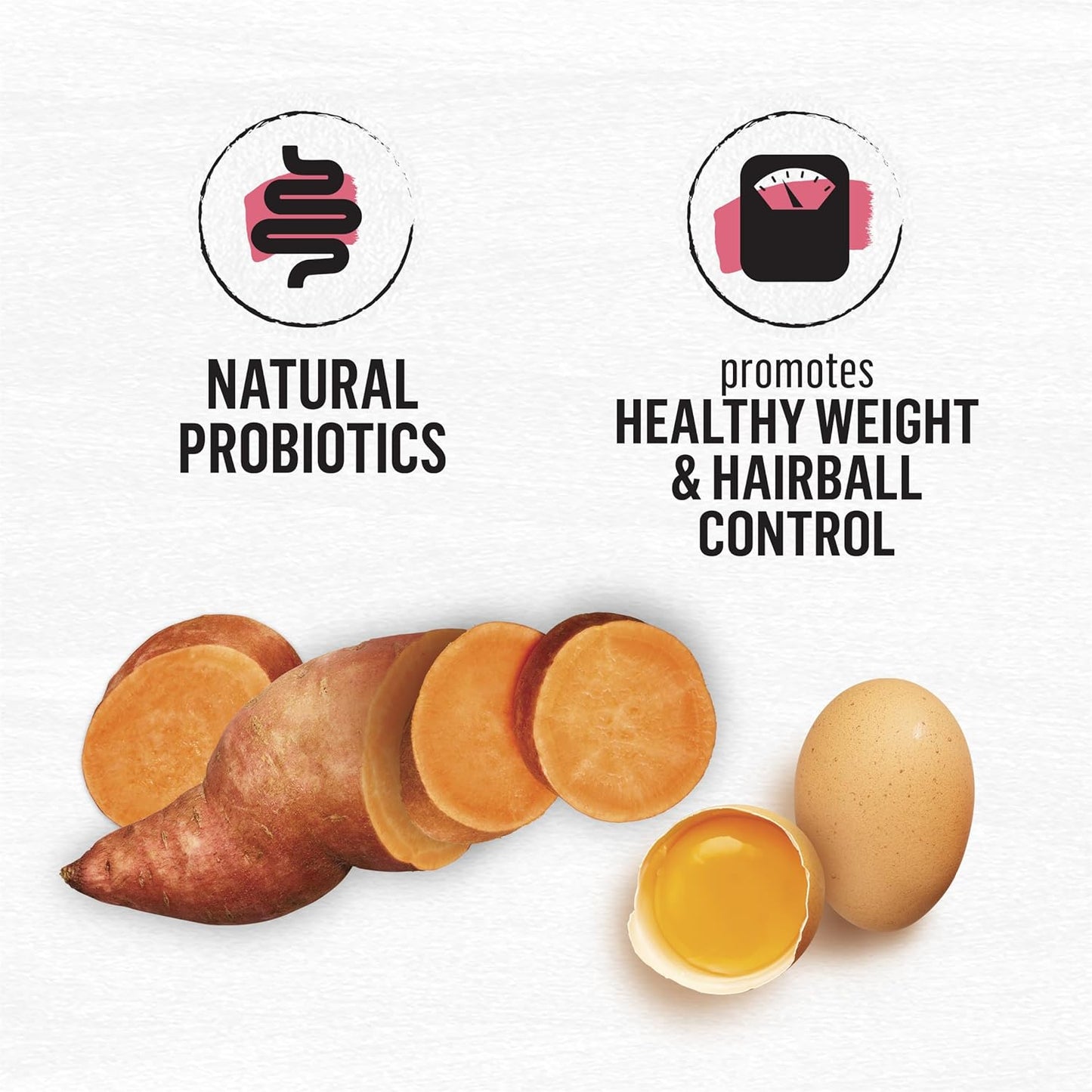 Natural Grain Free Dry Cat Food Simply Indoor Salmon, Egg and Sweet Potato Recipe - 11 Lb. Bag