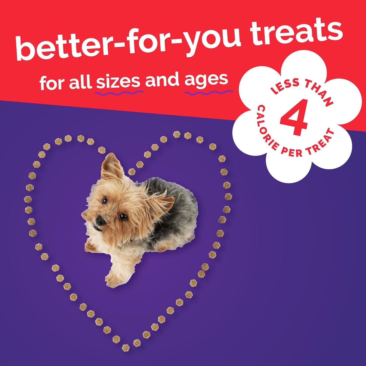 Skinny Mini Dog Treats, Healthy Sweet Potato Treat for Dogs, Low Calorie & Delicious, Puppy Training, Free of Wheat, Corn and Soy, Made in the USA, Bacon and Apple Flavor, 5Oz