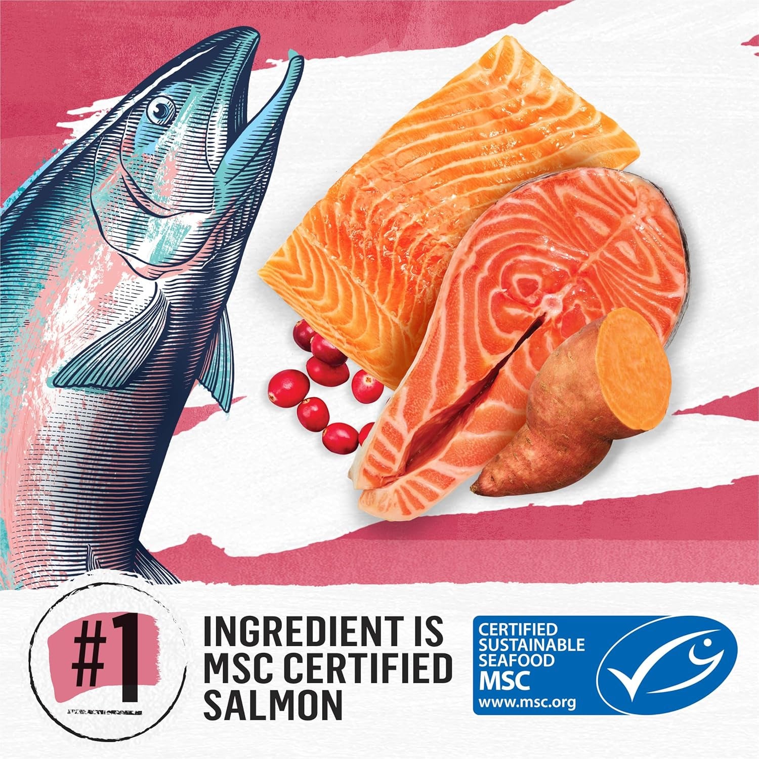 Natural Grain Free Dry Cat Food Simply Indoor Salmon, Egg and Sweet Potato Recipe - 11 Lb. Bag