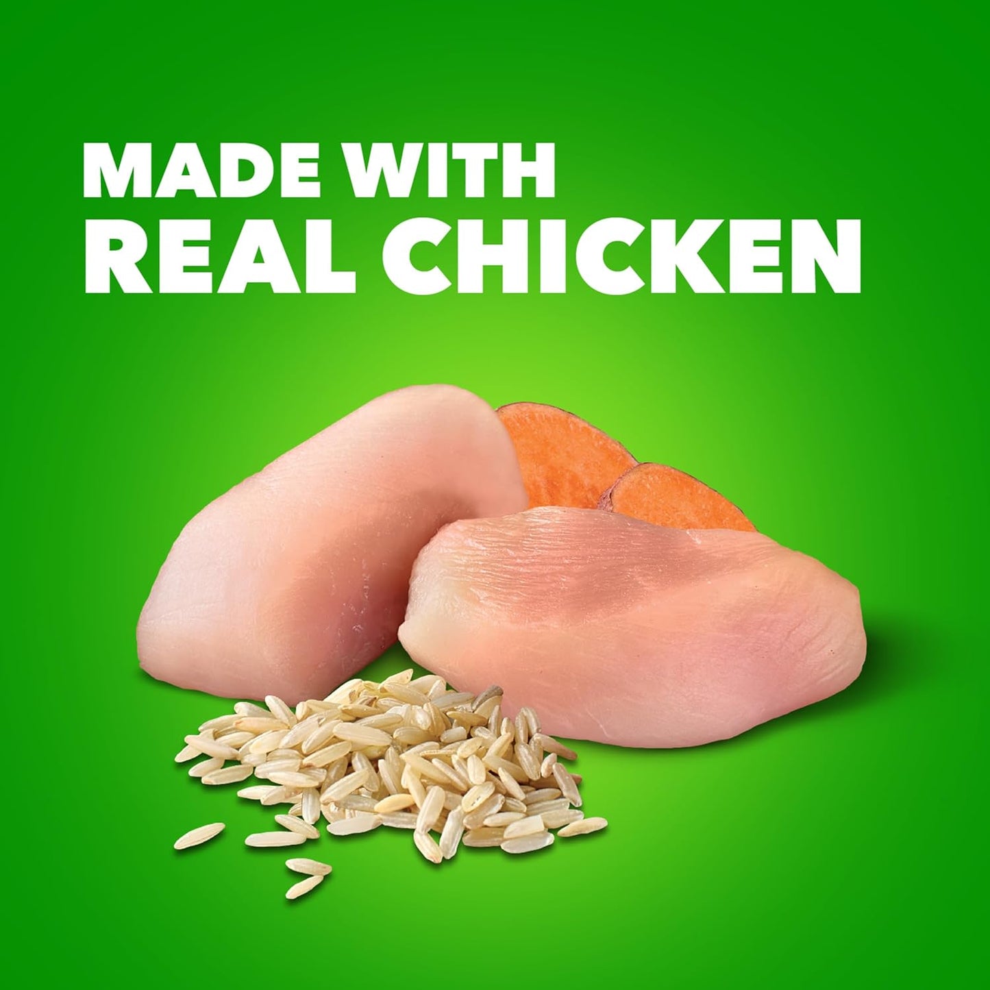 Proactive Health Adult Wet Dog Food Classic Ground with Chicken and Rice, 13 Oz. Cans (12 Count, Pack of 1)