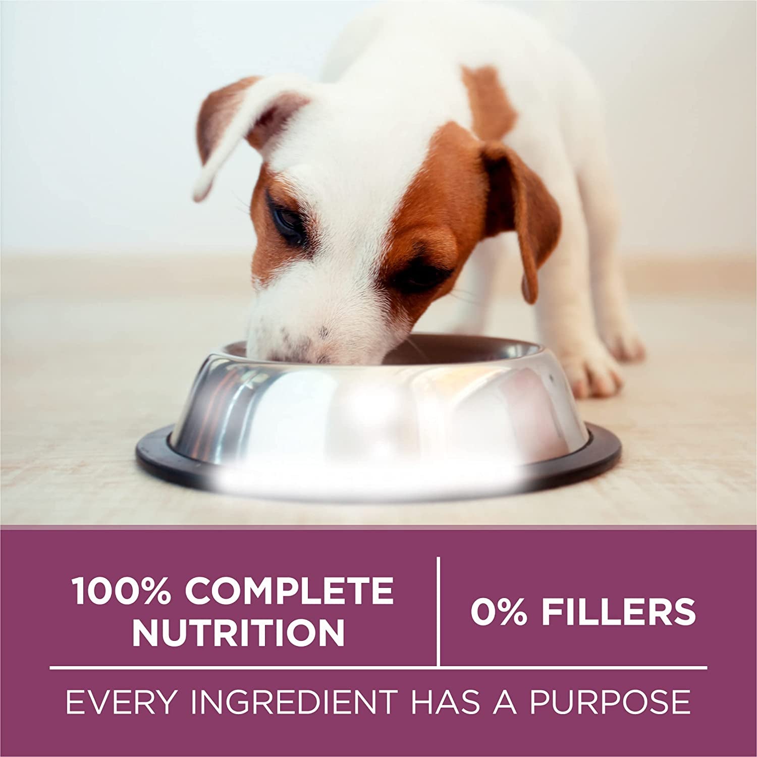 plus Healthy Puppy Formula High Protein Natural Dry Puppy Food with Added Vitamins, Minerals and Nutrients - 16.5 Lb. Bag