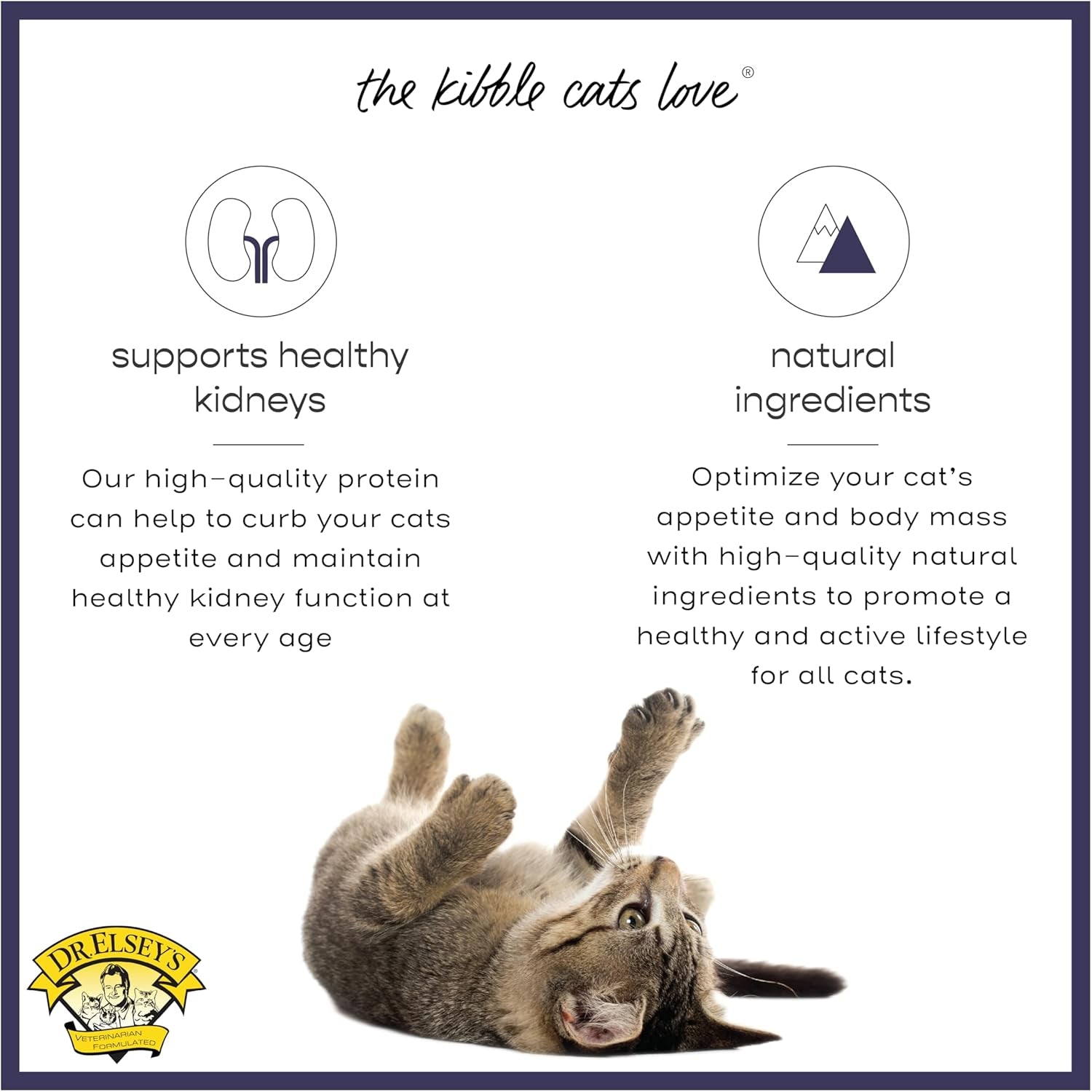 Cleanprotein Chicken Cat Kibble 6.6 Lb. Bag