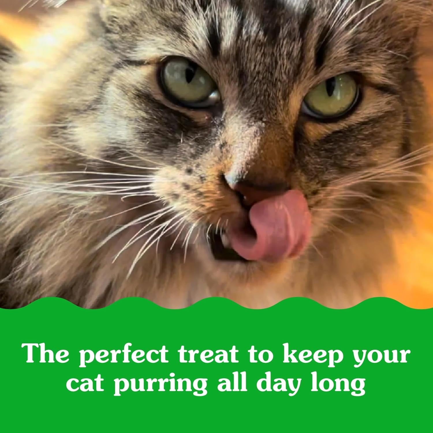 Feline Smartbites Healthy Indoor Cat Treats, Tuna Flavor, 16 Oz. Tub