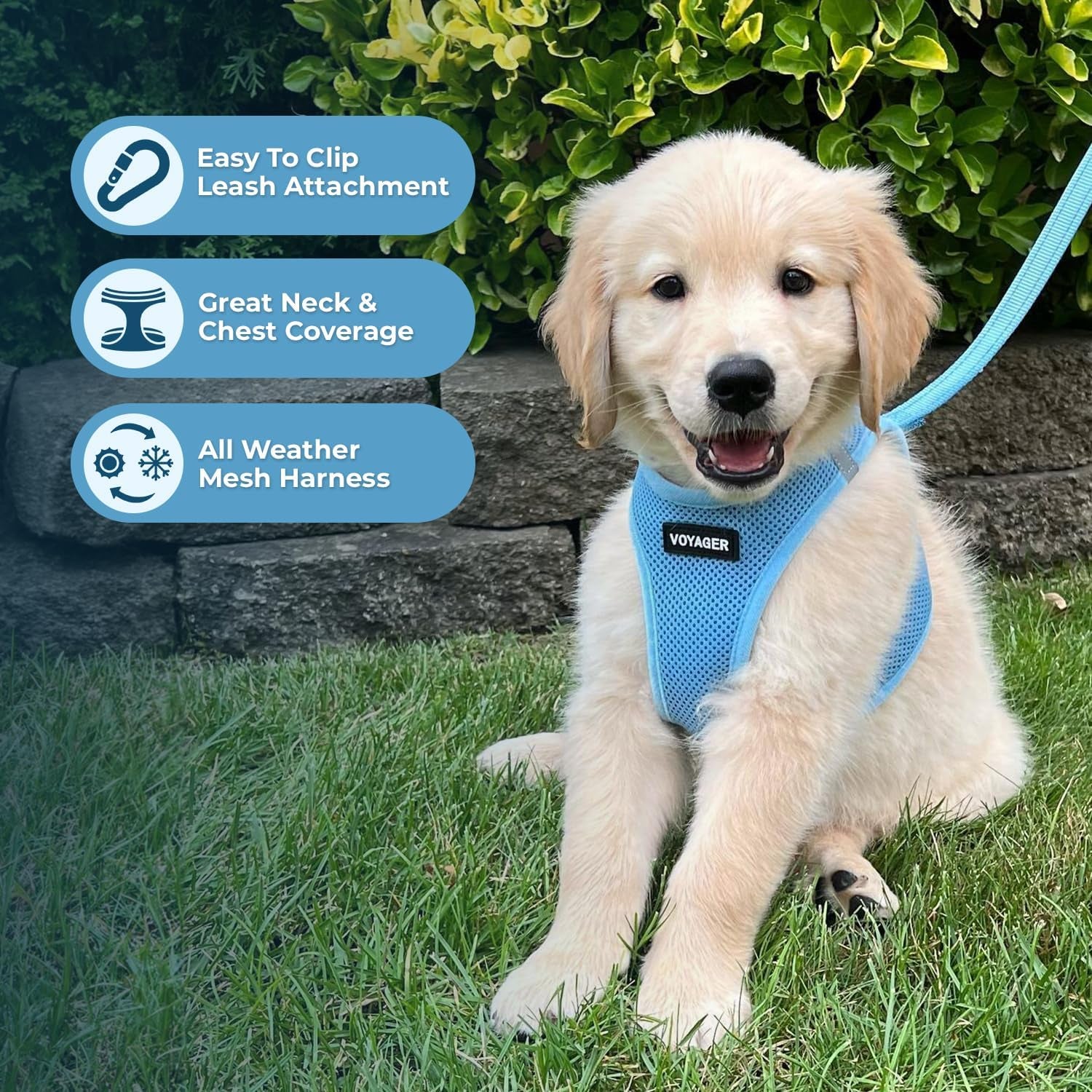 - All Weather Mesh, Reflective, No Pull Harness for Small, Medium Dogs, Cats - Secure with Hook & Loop Fastener, Buckle, Double D-Rings - Baby Blue, M