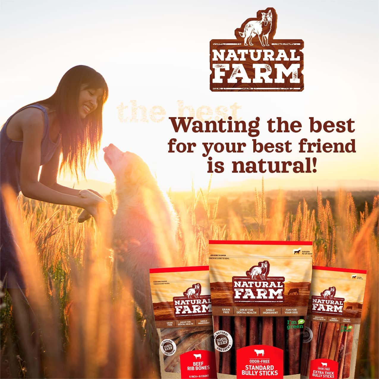 Beef Trachea (12 Inch, 8 Pack), 100% Beef Chews, Natural Glucosamine and Chondroitin for Joint & Hip Mobility, Bone Strength – Low Fat Crunchy & Crispy Treats for All Dogs