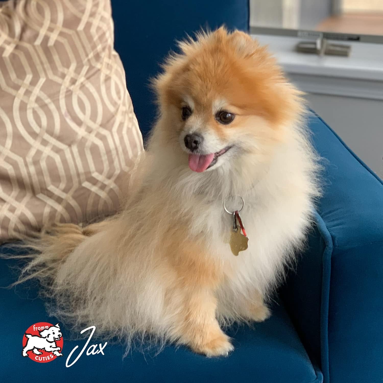 Small Breed Adult Gold Premium Dry Dog Food - Dry Adult Dog Food for Small Breeds - Chicken Recipe - 15 Lb