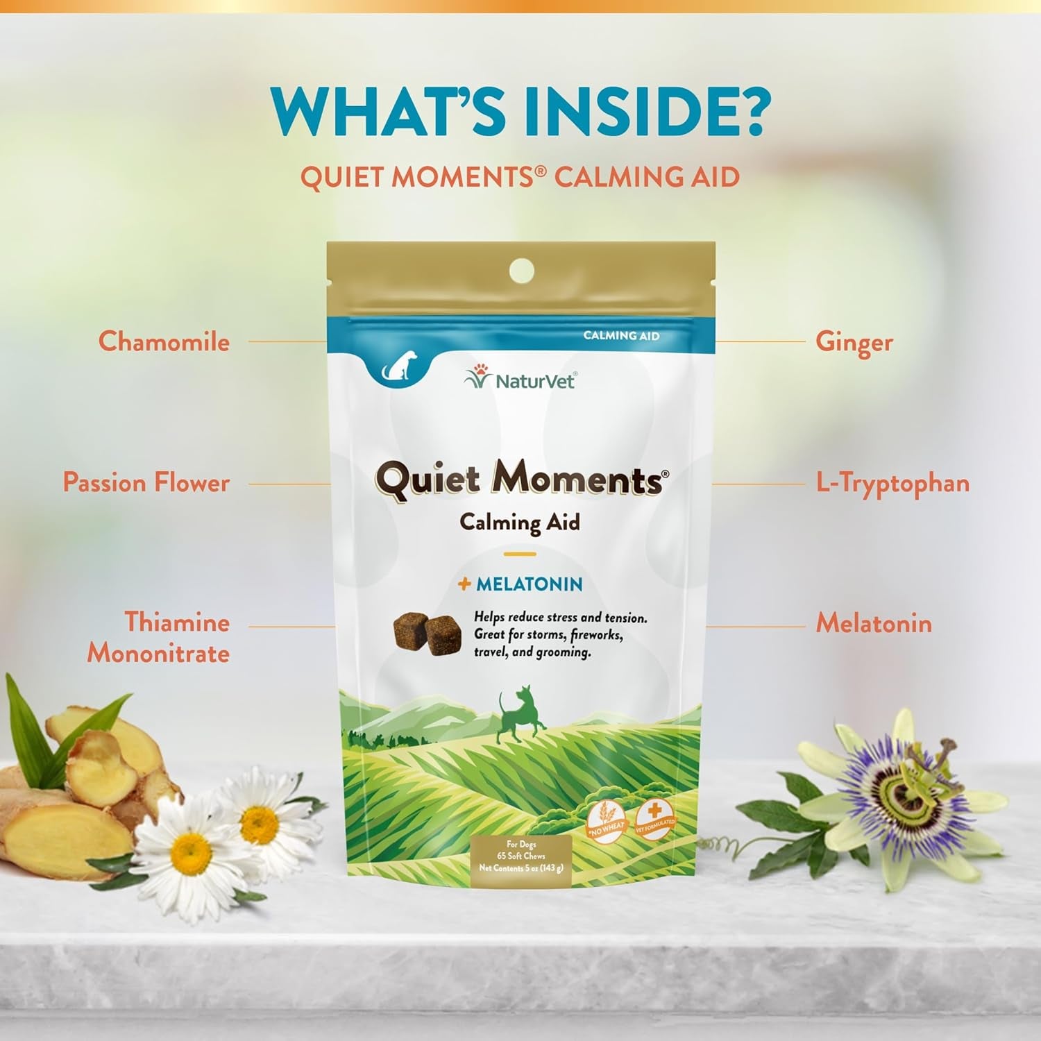 Quiet Moments Calming Dog Supplement, Dog Soft Chews with Melatonin to Help Reduce Stress from Storms, the Vet, Fireworks, and Travel, Bacon and Chicken Flavored Pet Supplement, 65 Count