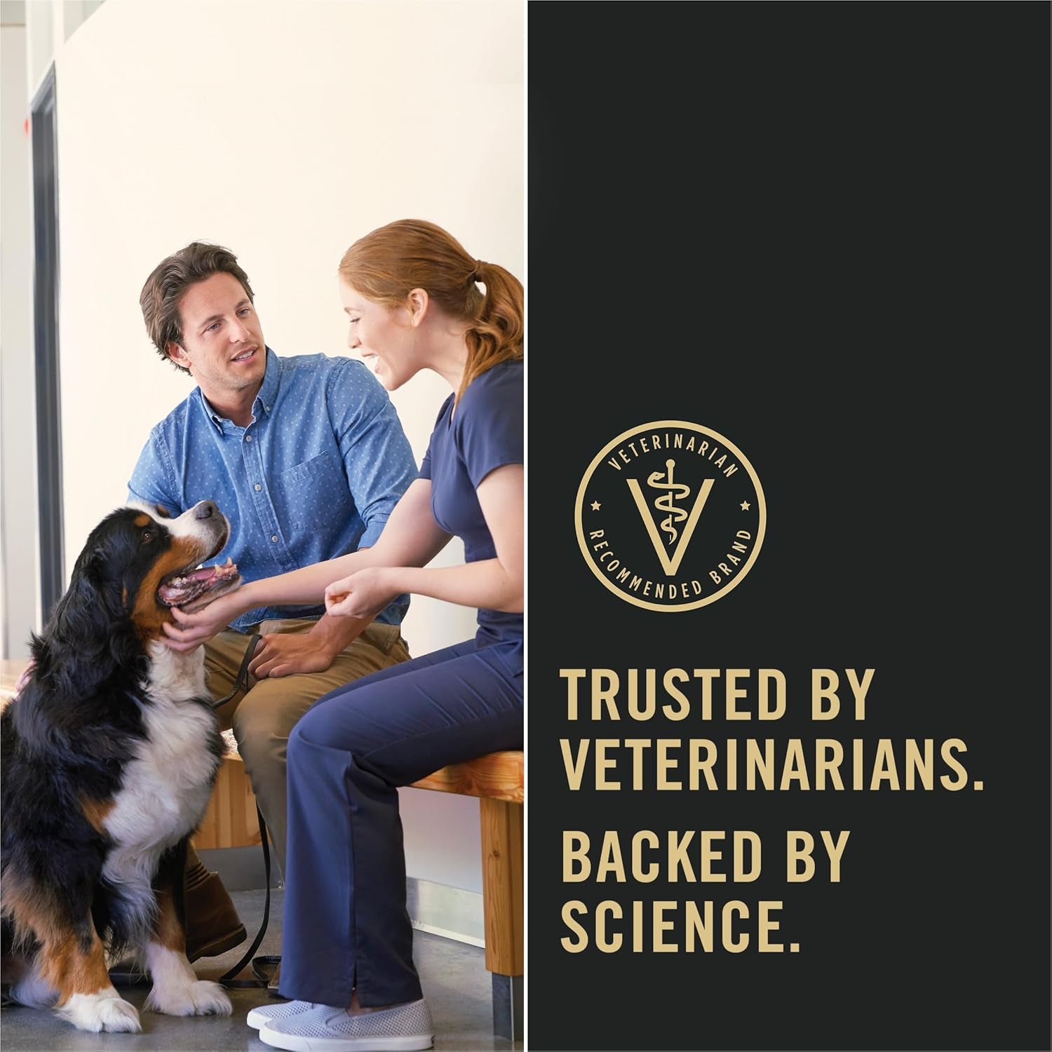 Sensitive Skin and Stomach Dog Food Small Breed, Adult Salmon & Rice Formula - 4 Lb. Bag