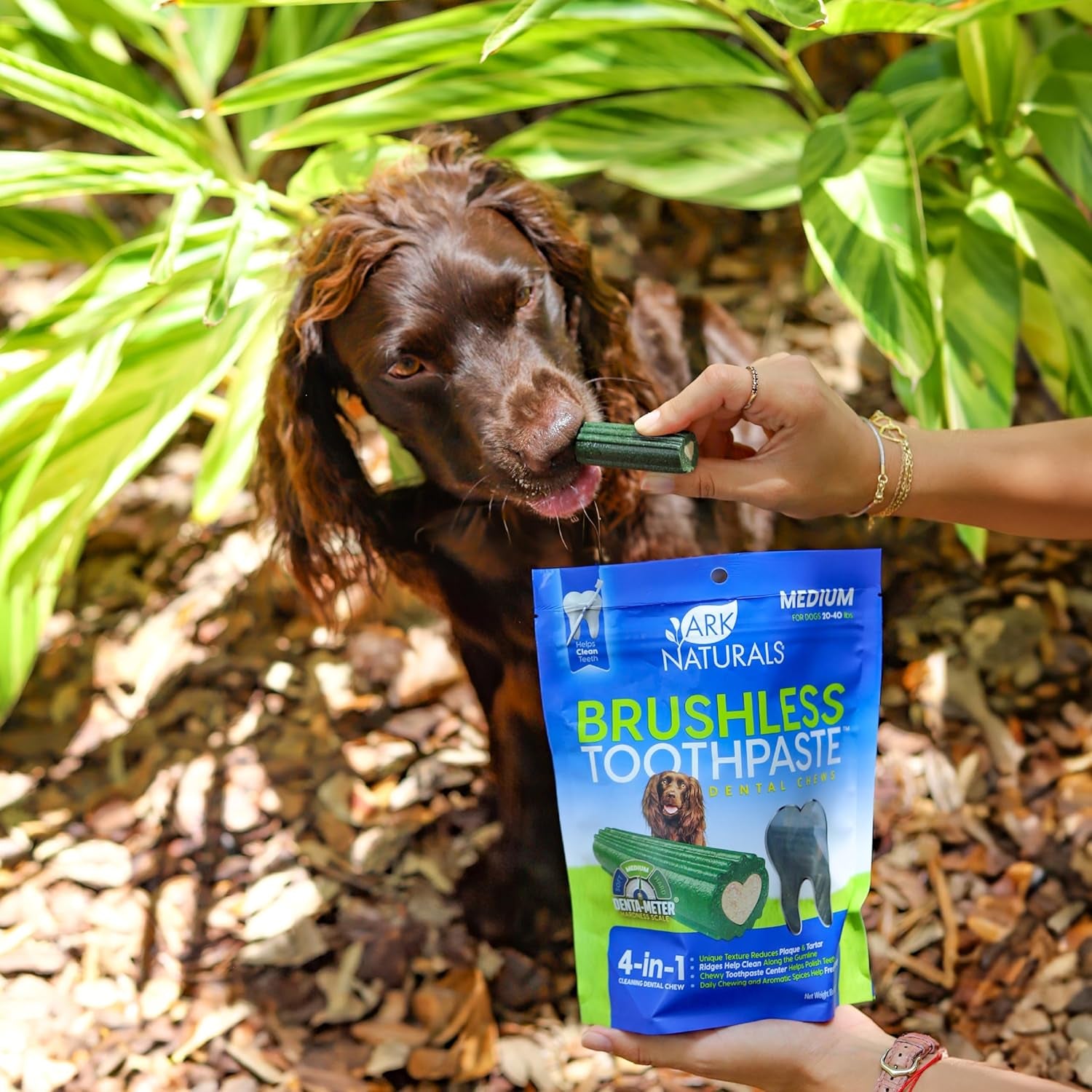 Brushless Toothpaste, Dog Dental Chews for Medium Breeds, Freshens Breath, Helps Reduce Plaque & Tartar, 18Oz, 1 Pack