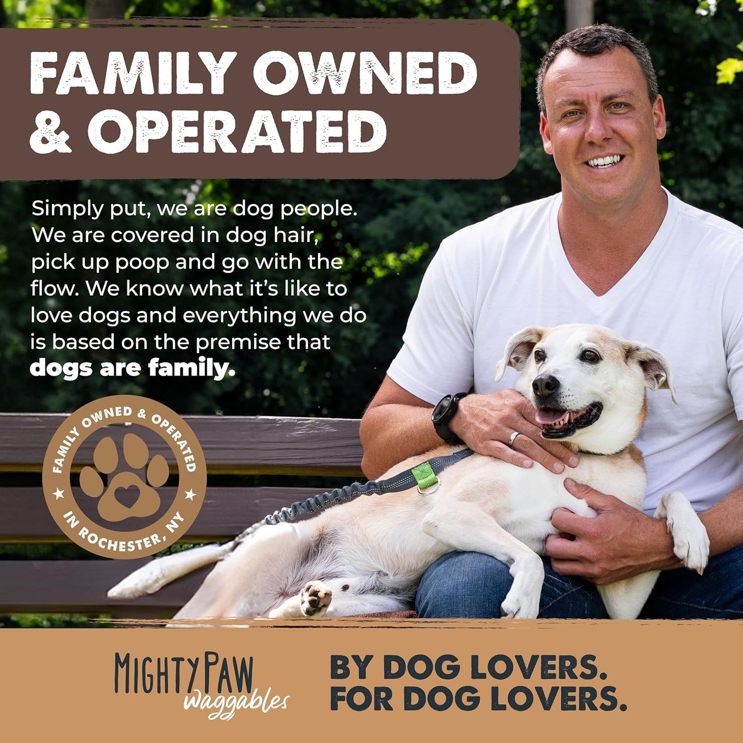 Naturals Bully Sticks for Small & Medium Dogs - Grass Fed Beef Chews. Bully Sticks for Large Dogs. Lower Odor Stick Treat. Single Ingredient (6" - 10 Pack)