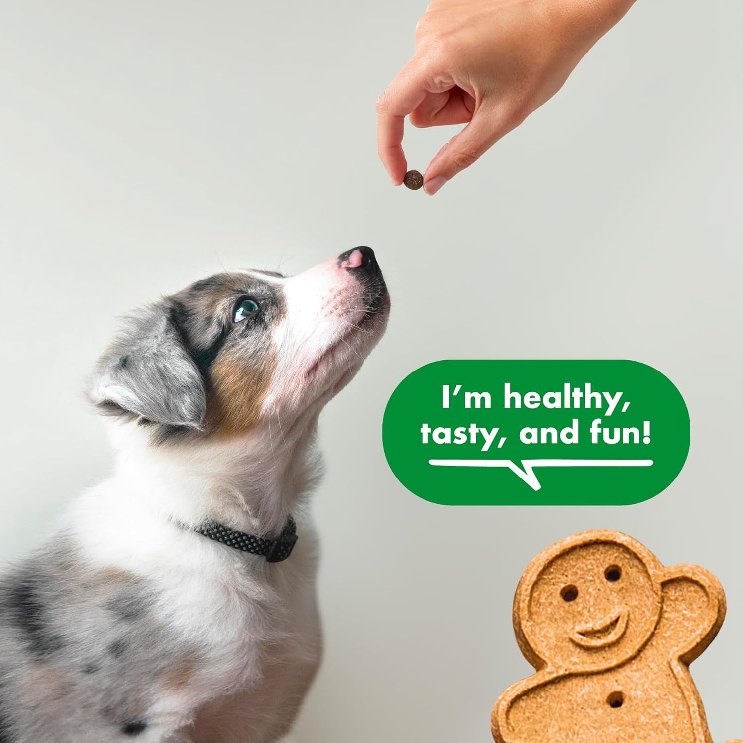 Trainers 10 Oz. Bag of Training Bites Soft & Chewy Dog Treats Made with Chicken Flavor