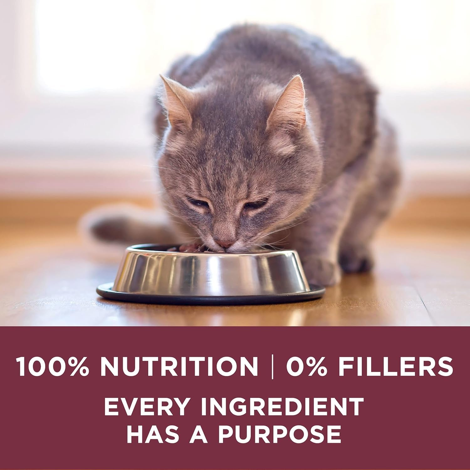 High Protein Dry Cat Food, +Plus Urinary Tract Health Formula - 16 Lb. Bag