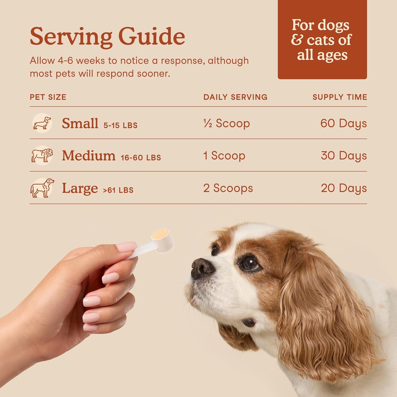 Probiotics for Dogs & Cats - Vet Created - Cat & Dog Probiotic Supplement - 12 Strains & Prebiotics for Pet’S Digestion - 60 Scoops​