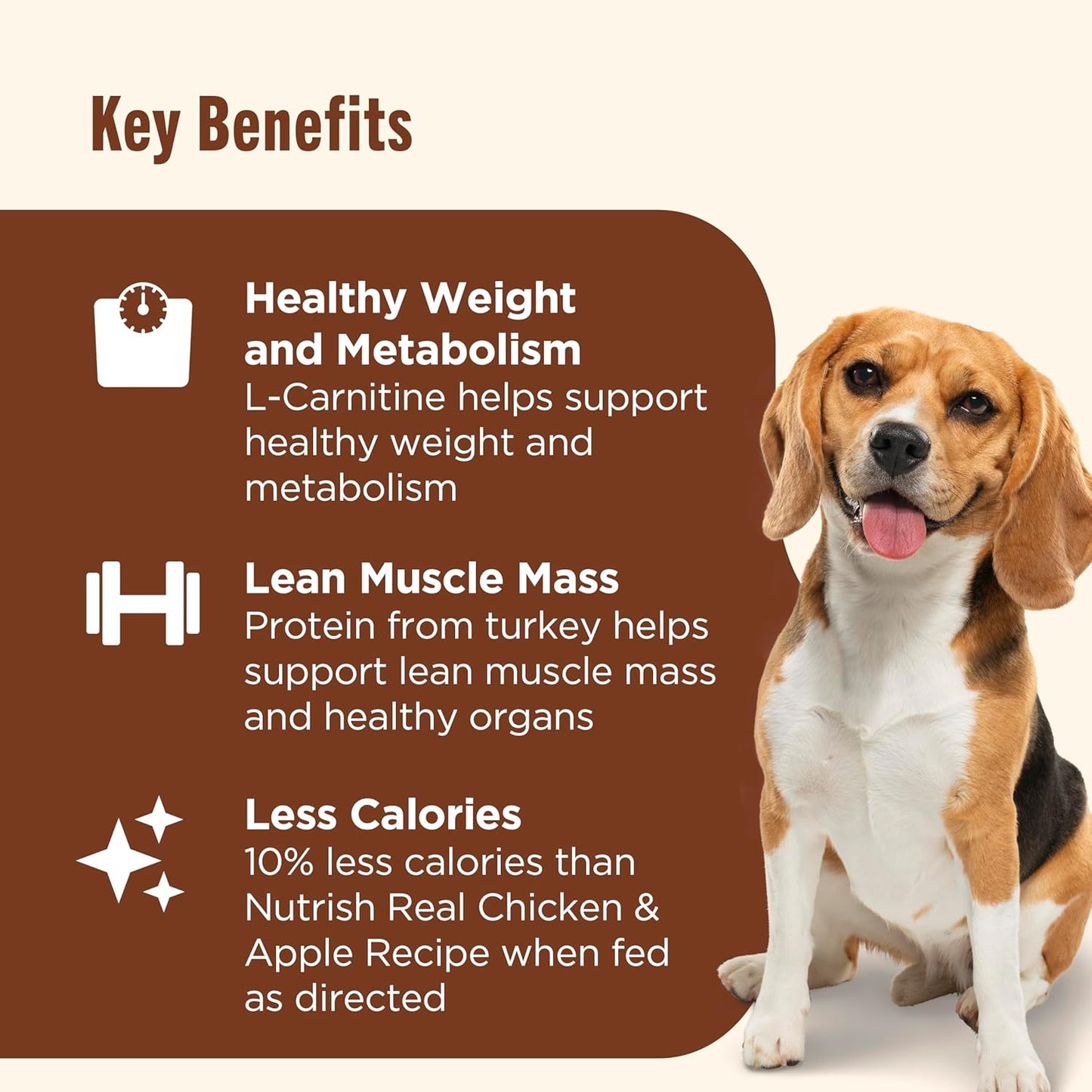 Rachael Ray Weight Management Wet Dog Food Premium Paté Real Turkey & Pumpkin Recipe, 13 Oz. Can, 12 Count