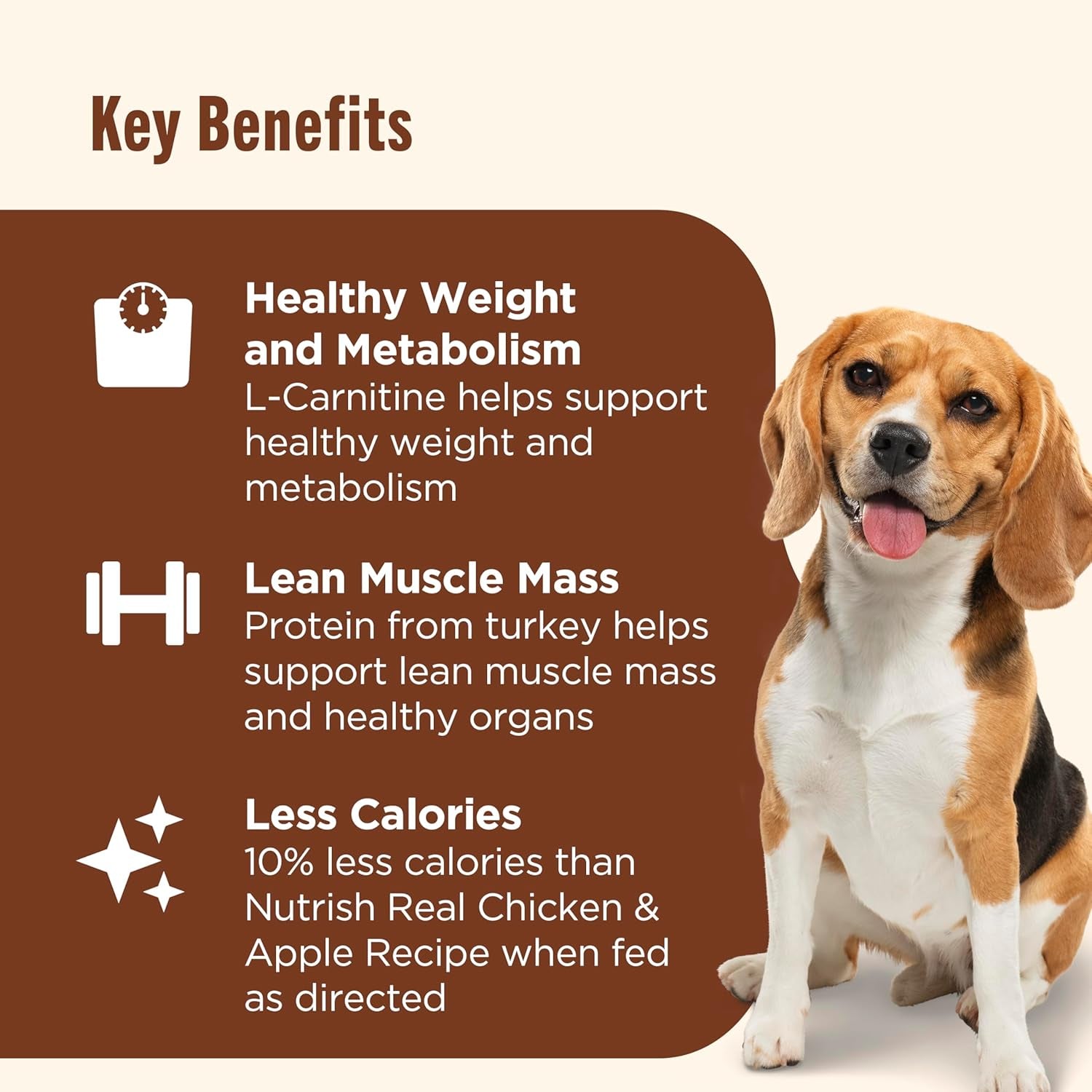 Rachael Ray Weight Management Wet Dog Food Premium Paté Real Turkey & Pumpkin Recipe, 13 Oz. Can, 12 Count