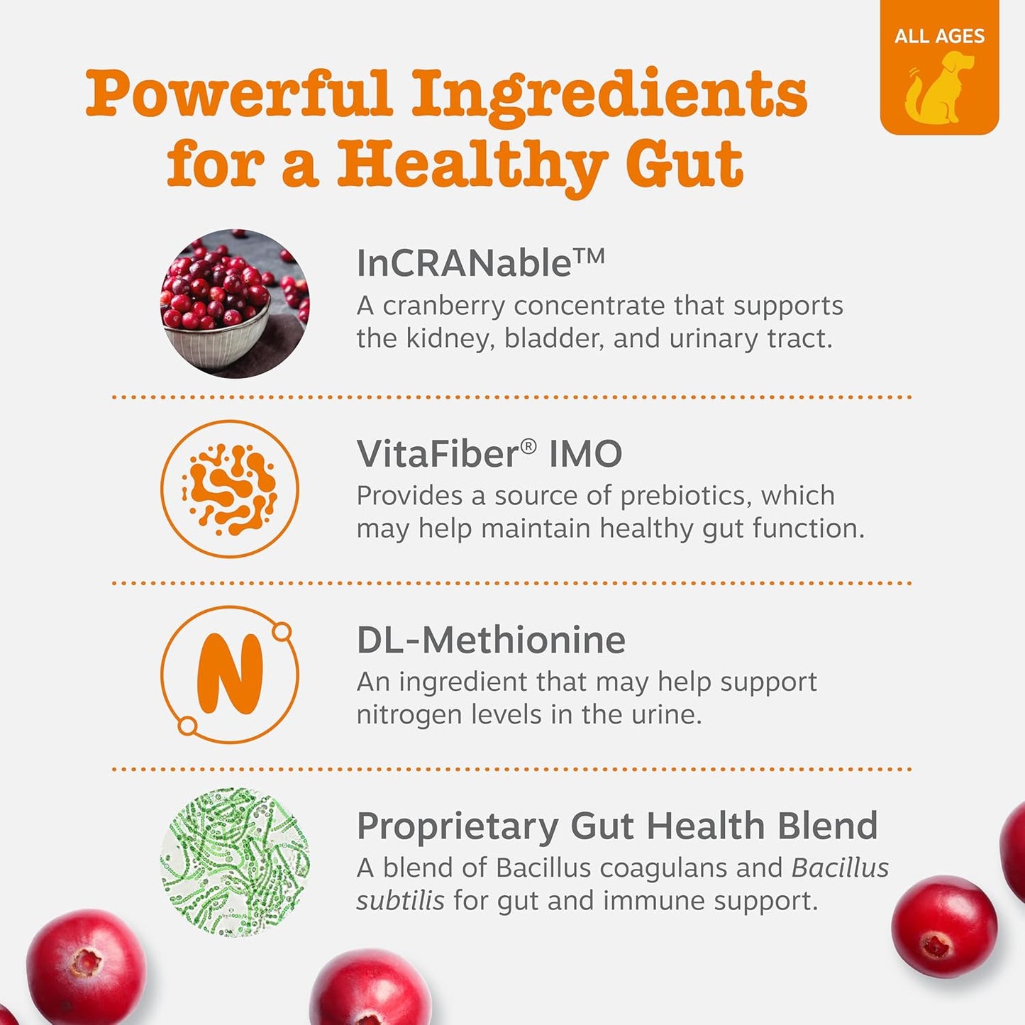 Stay Green Bites for Dogs - Grass Burn Soft Chews for Lawn Spots Caused by Dog Urine - with Cranberry for Urinary Tract & Bladder - Chicken - 90 Count