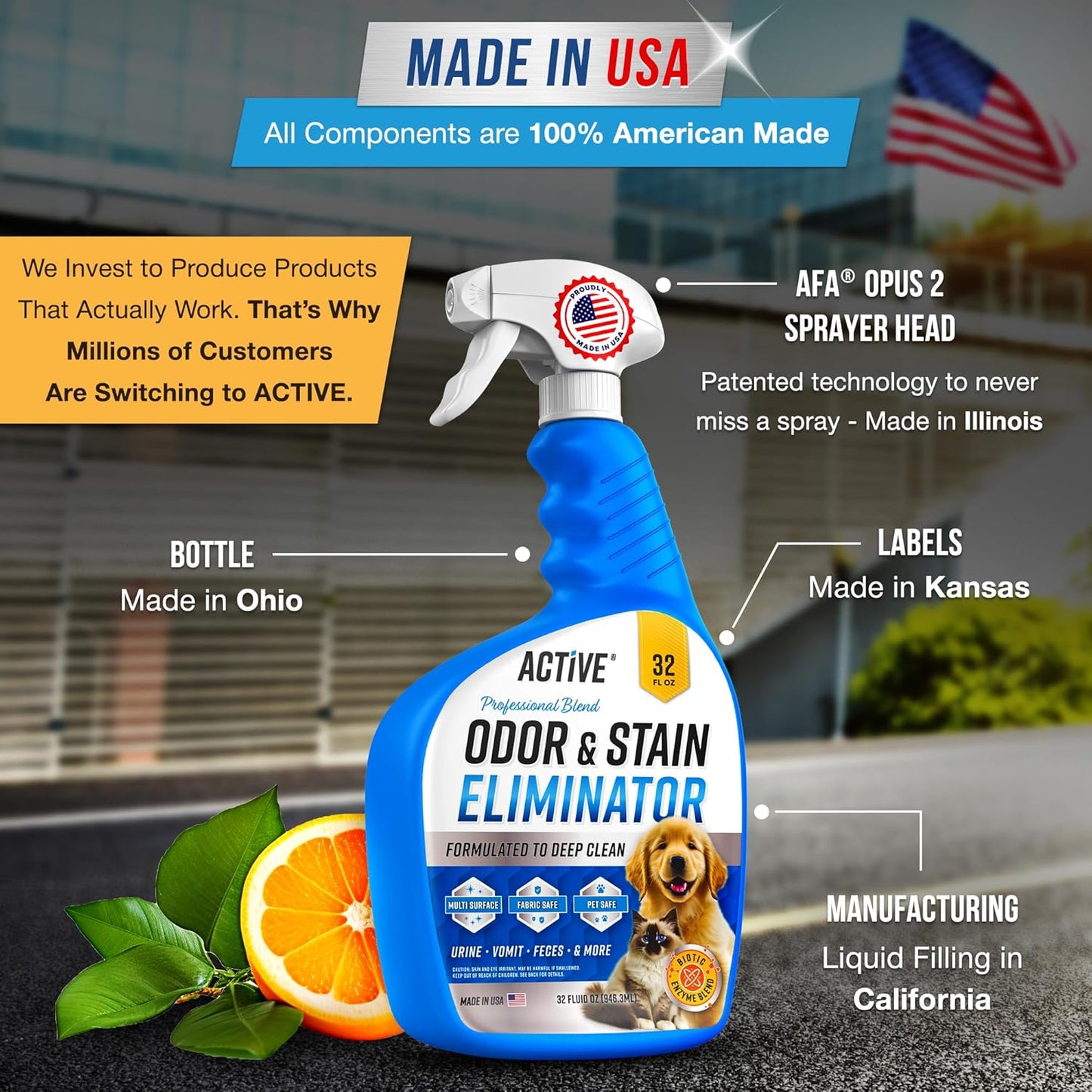 Pet Odor and Stain Eliminator - 32 Oz  Enzyme Cleaner for Dog & Cat Urine, Stain Remover Spray for Carpet, Upholstery, Hardwood, Spot Cleaning, Deodorizer for Dogs Cats Pets - Natural Citrus Oil