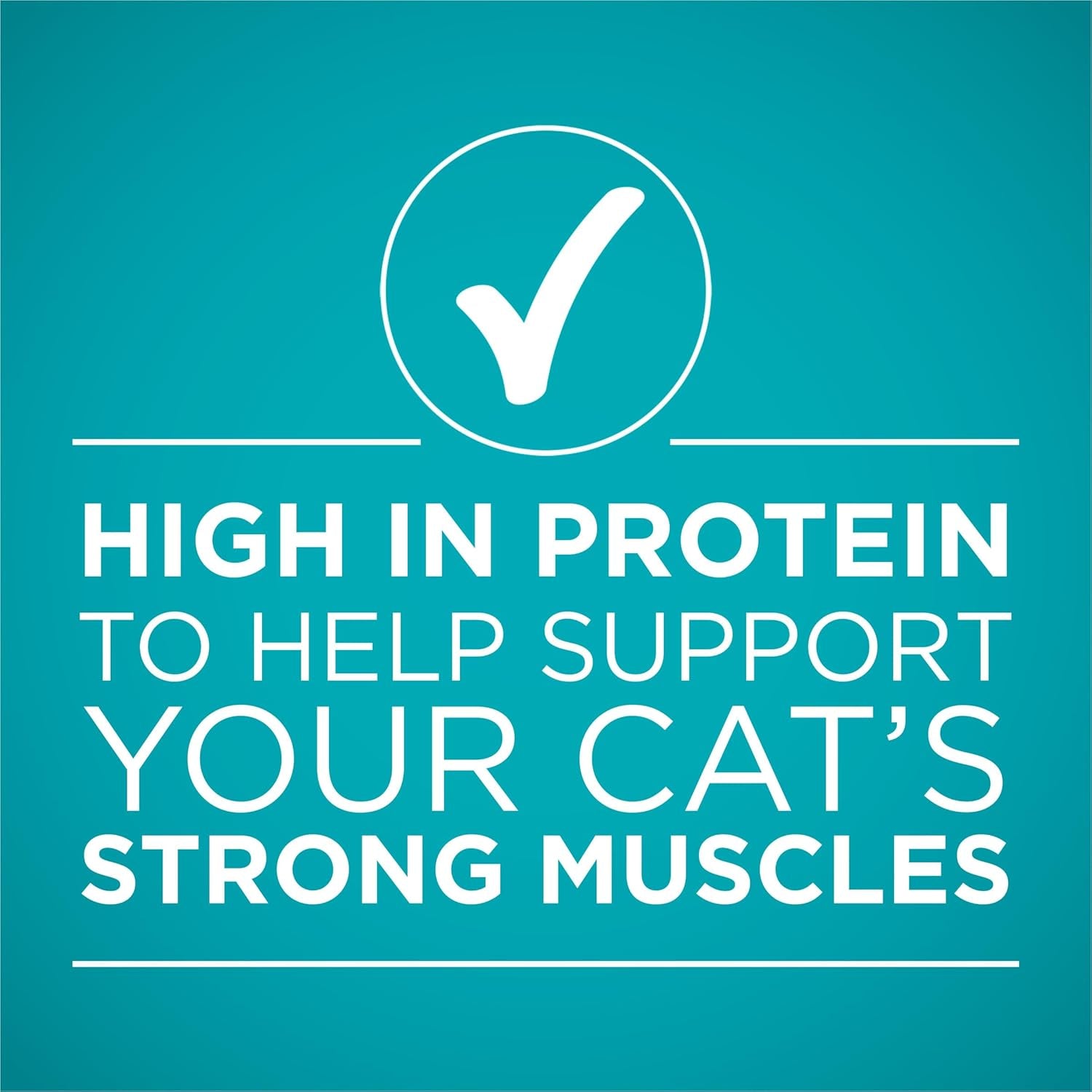 Natural High Protein Cat Food, Chicken Recipe in Wet Cat Food Gravy - (Pack of 24) 3 Oz. Pull-Top Cans