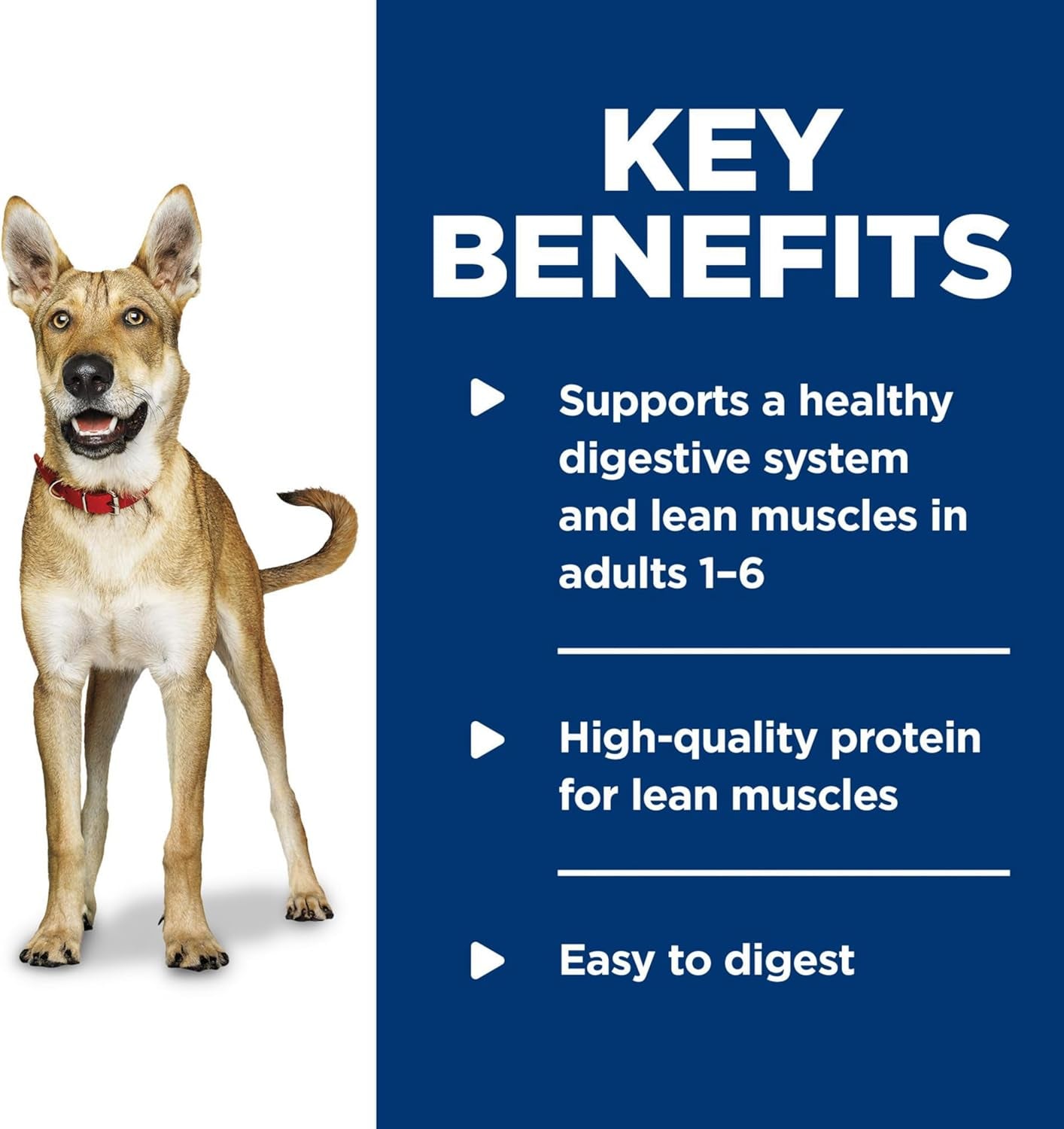 Adult 1-6, Adult 1-6 Premium Nutrition, Wet Dog Food, Beef & Vegetables Stew, 12.8 Oz Can, Case of 12