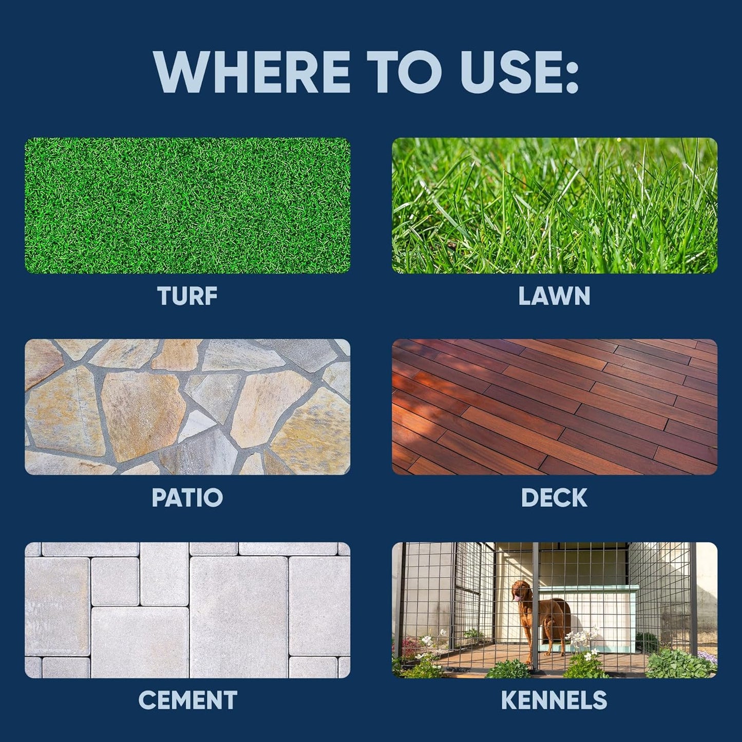 Outdoor Odor Eliminator outside Dog Urine Enzyme Cleaner Powerful Pet, Cat, Animal Scent Deodorizer | Professional Strength for Yard, Turf, Kennels, Patios, Decks (160 Oz Bundle W Sprayer)