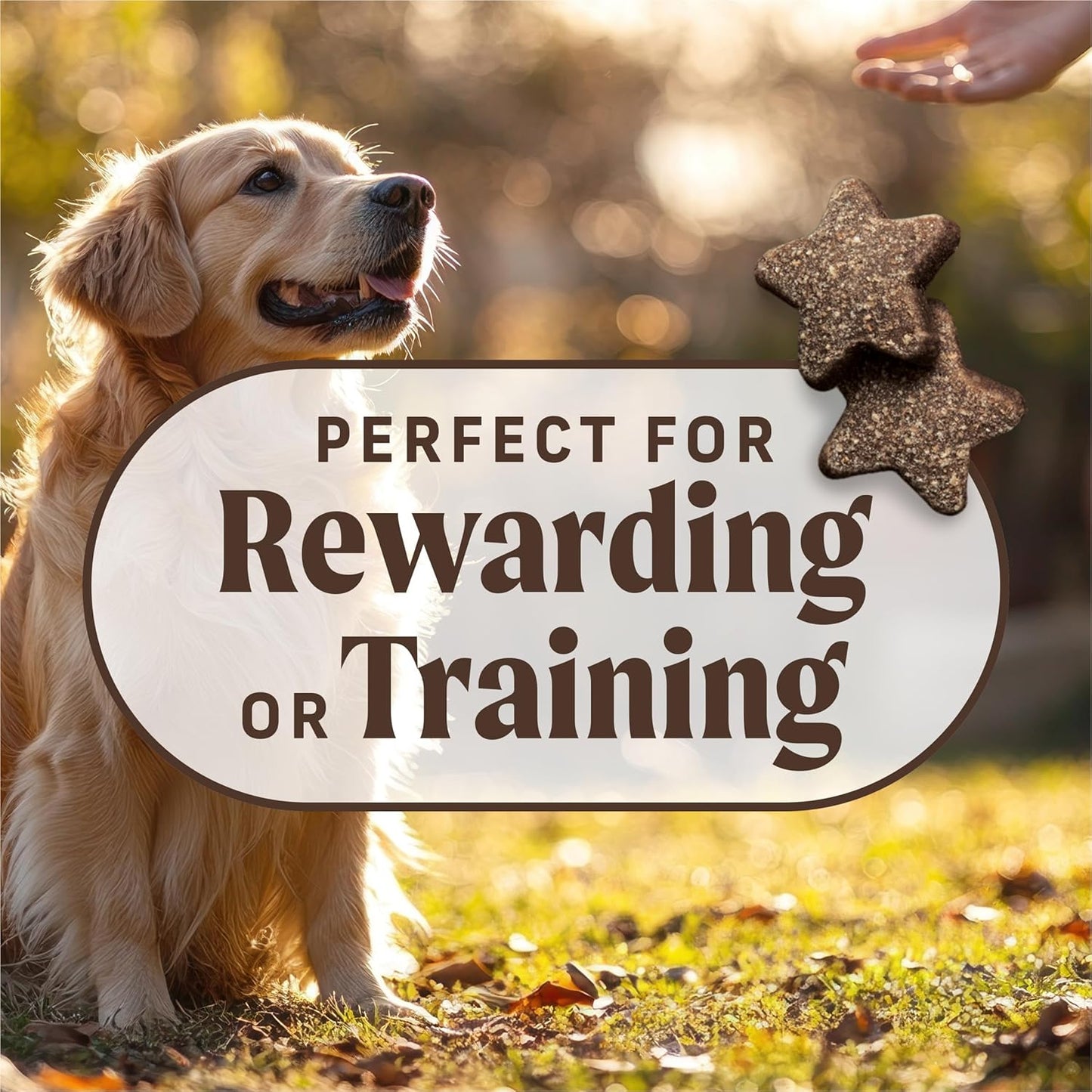 Power Bites Natural Soft and Chewy Real Meat Dog Treats, Grain Free Snack with Real Beef Recipe - 6 Oz. Bag