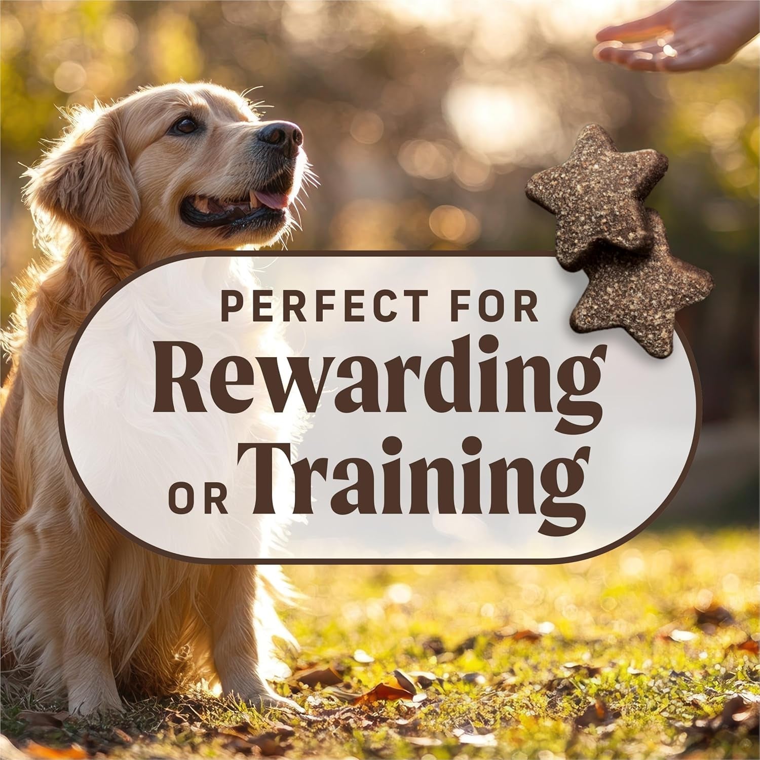Power Bites Natural Soft and Chewy Real Meat Dog Treats, Grain Free Snack with Real Beef Recipe - 6 Oz. Bag